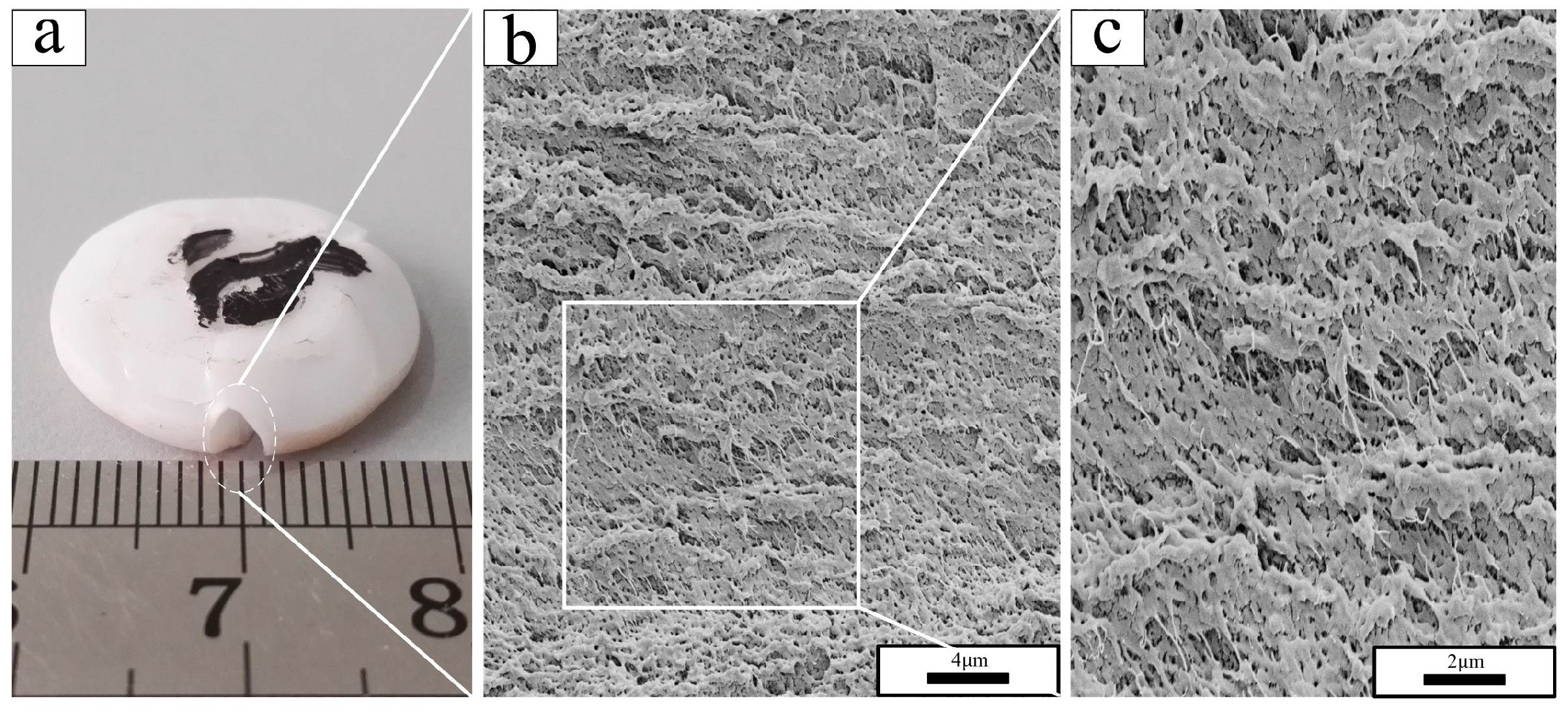 Polymers 10 00056 g010 550