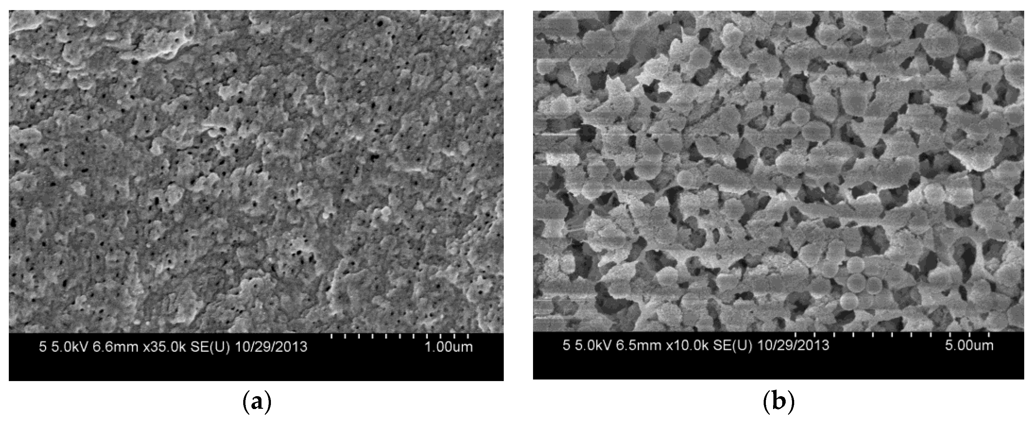 Polymers 10 00059 g005