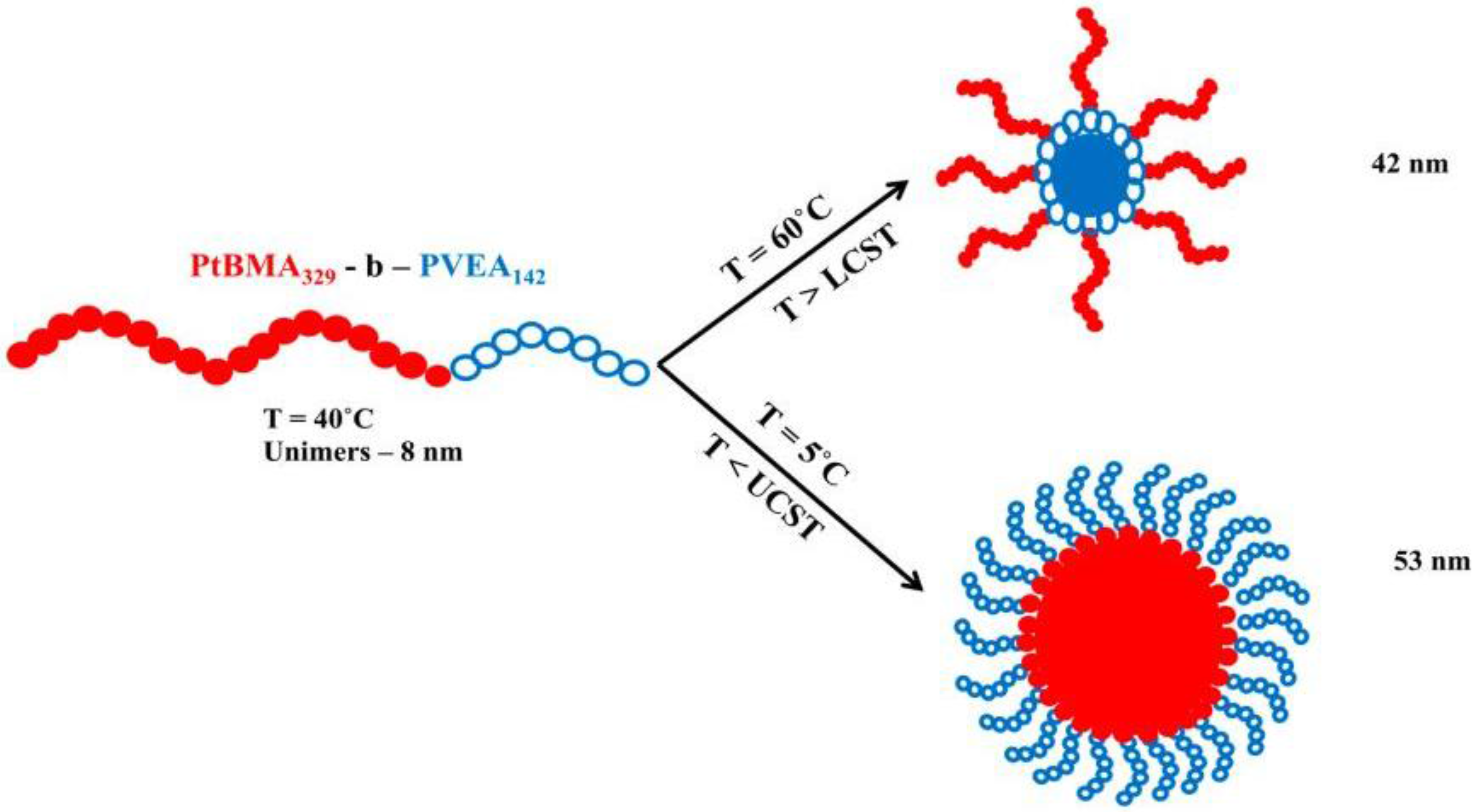 Polymers 10 00062 g002