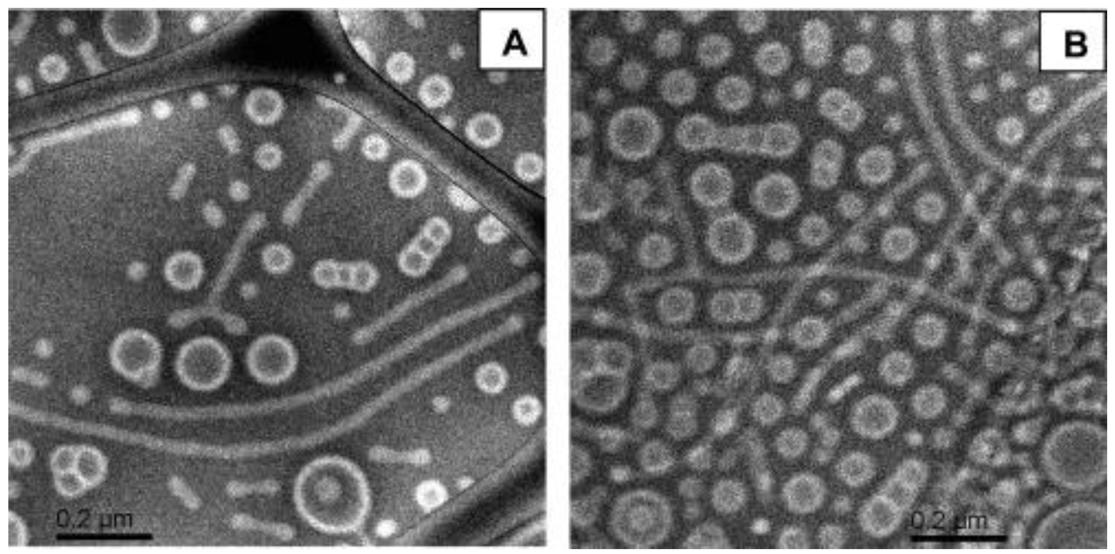 Polymers 10 00062 g003