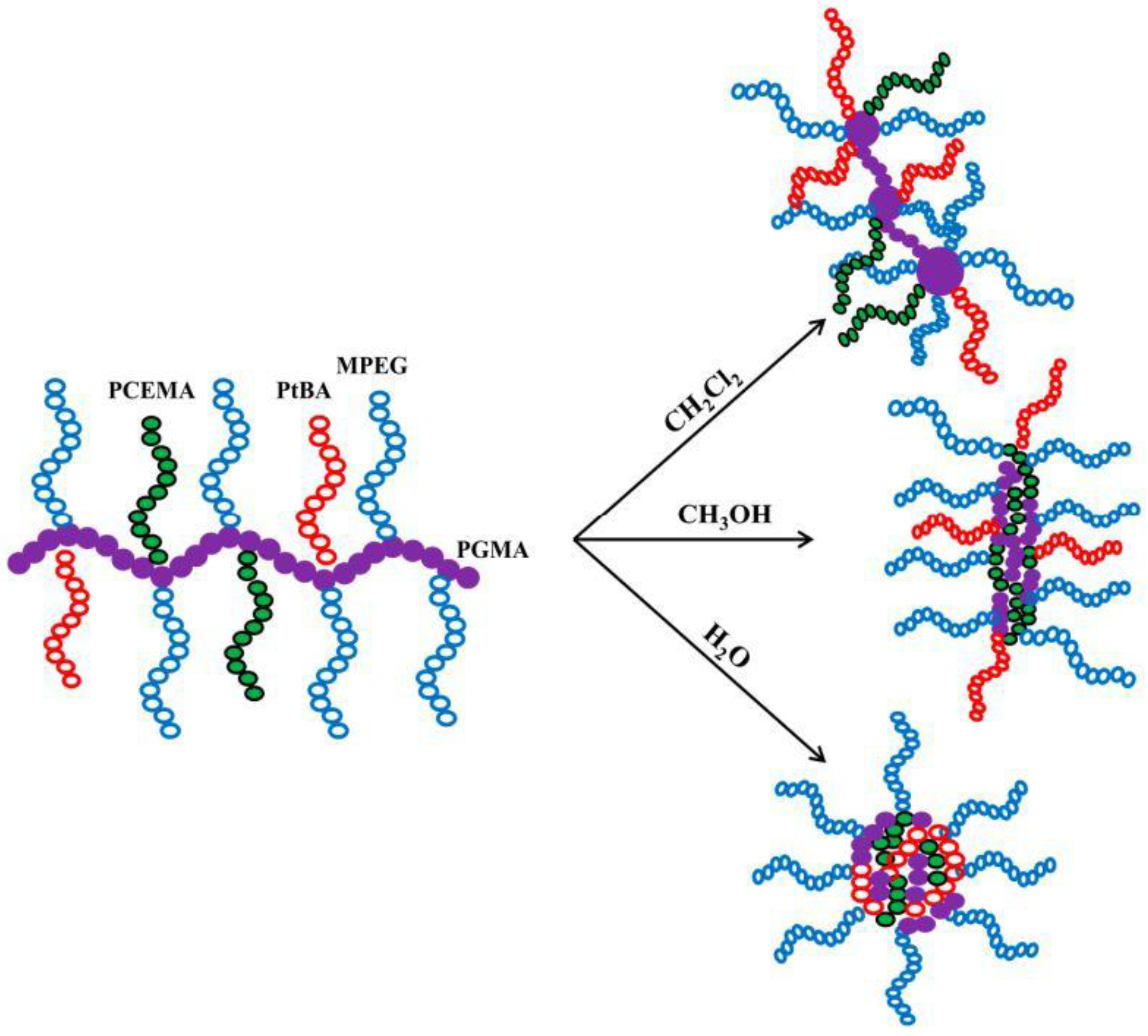 Polymers 10 00062 g011