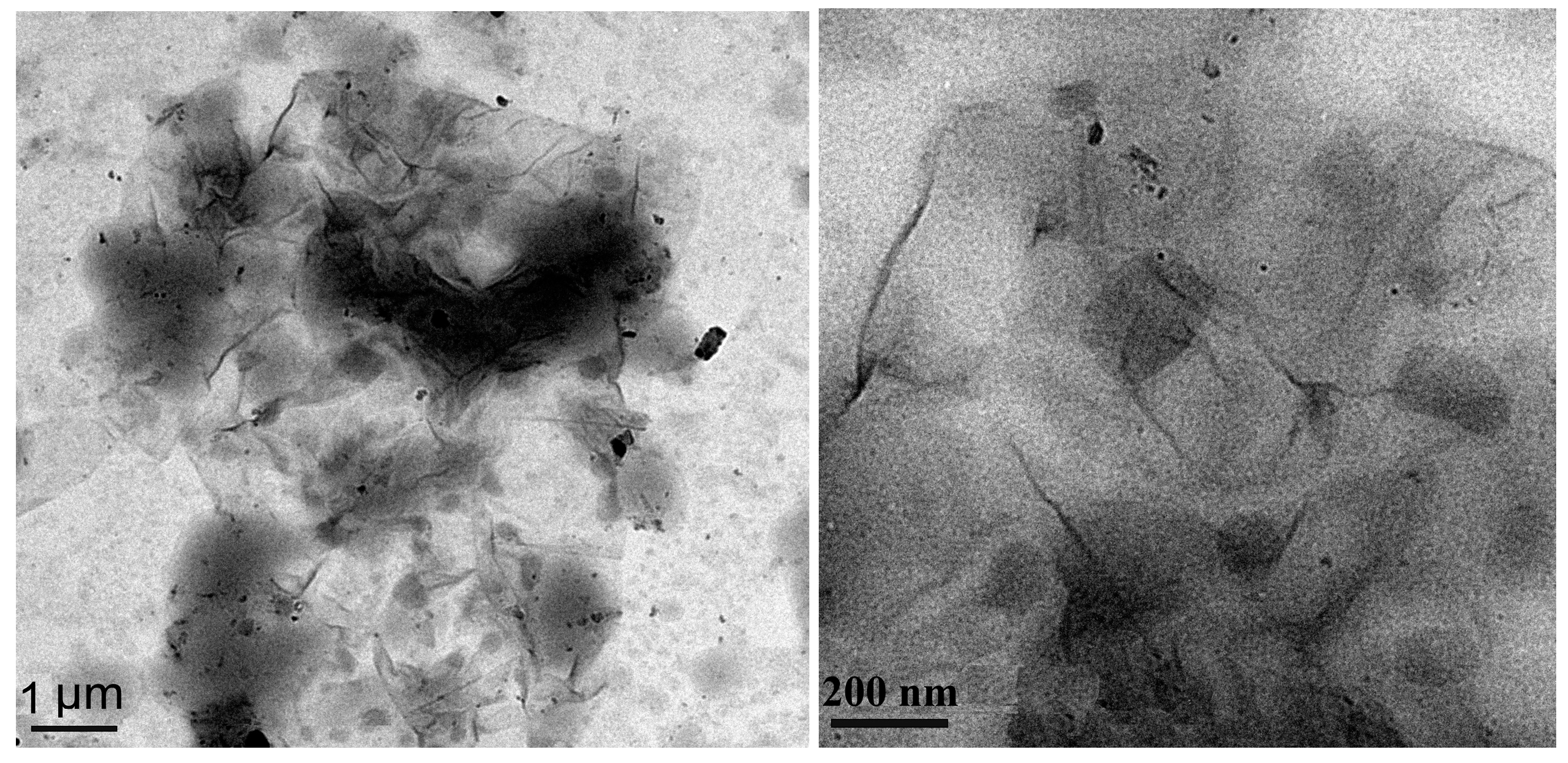 Polymers 10 00075 g009
