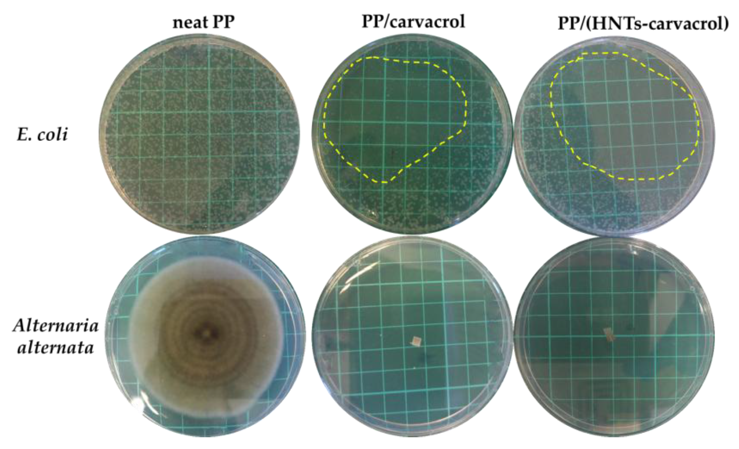 Polymers 10 00079 g006