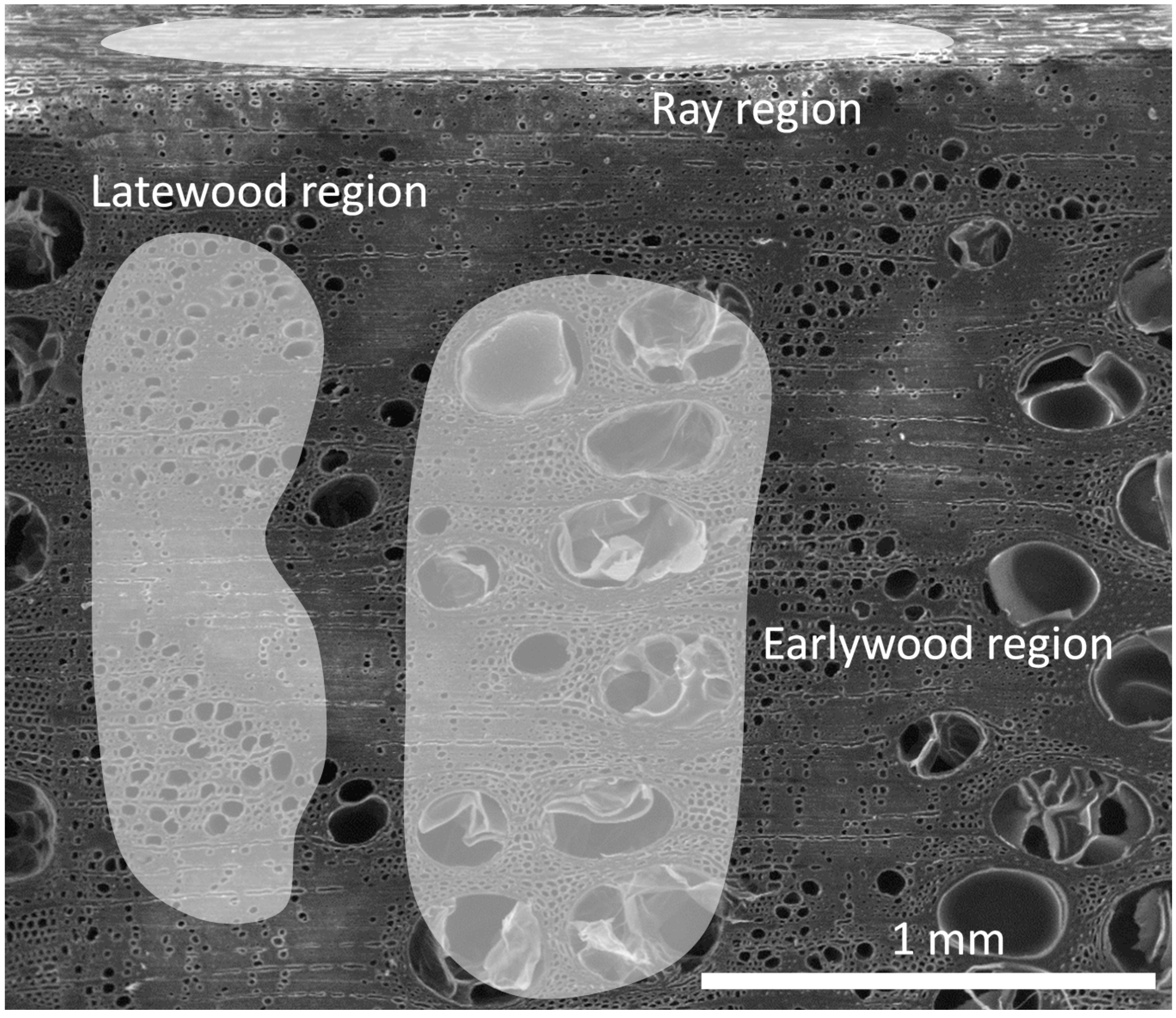 Polymers 10 00081 g008