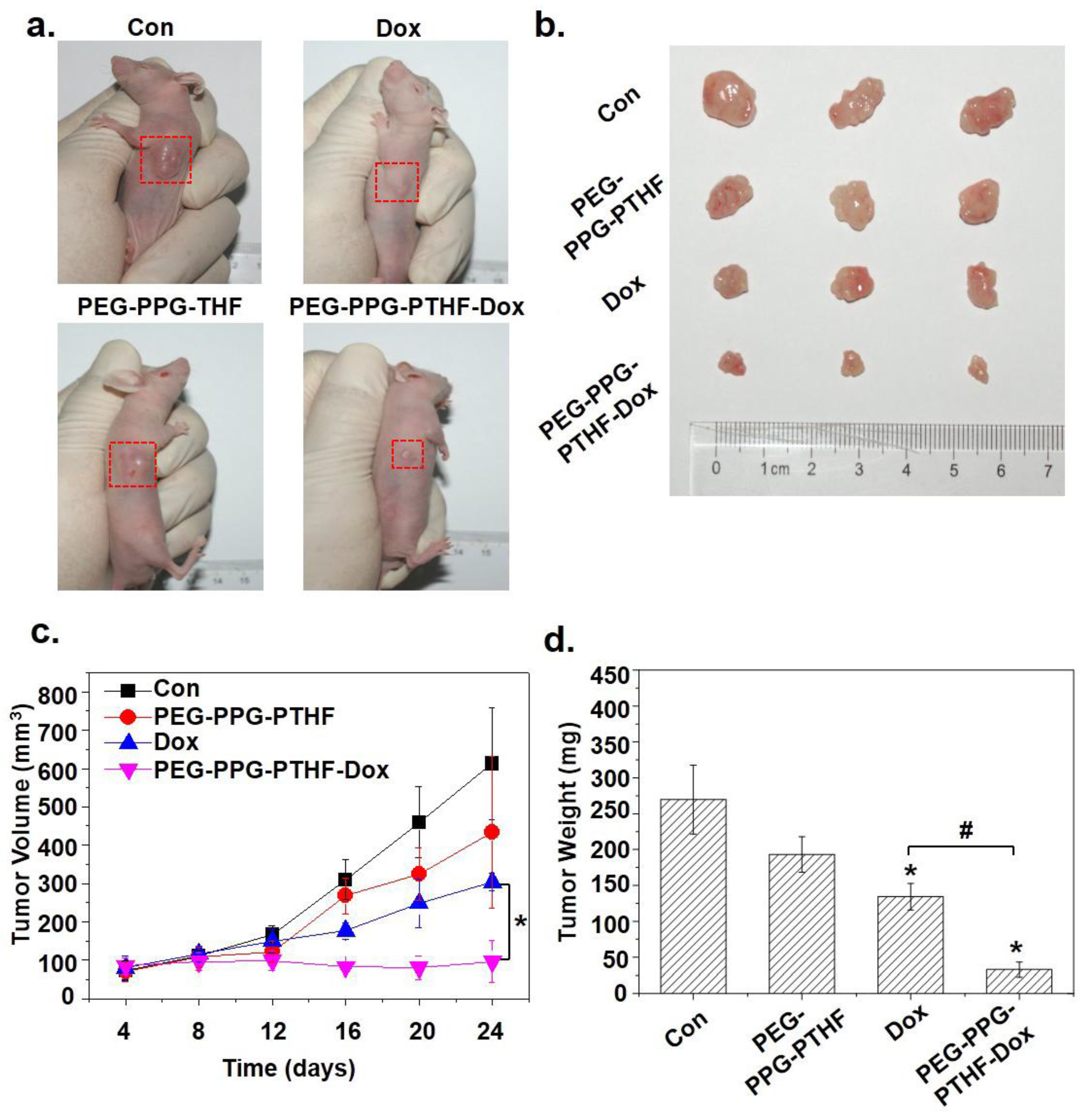 Polymers 10 00089 g010