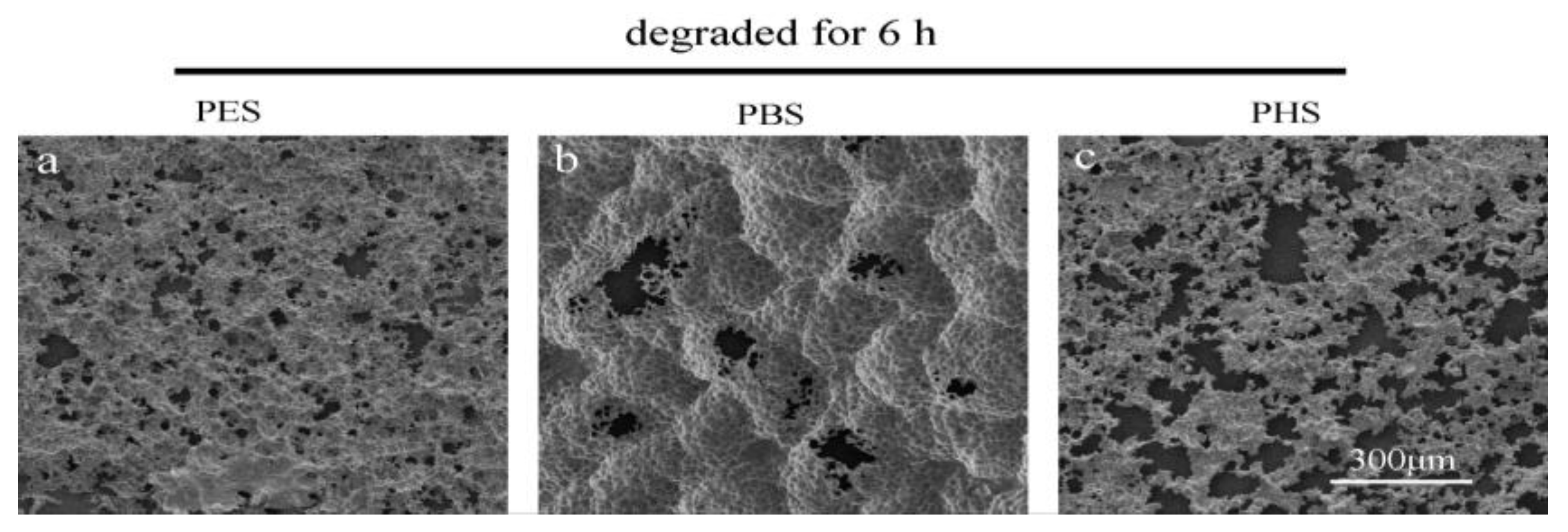 Polymers 10 00090 g003 550