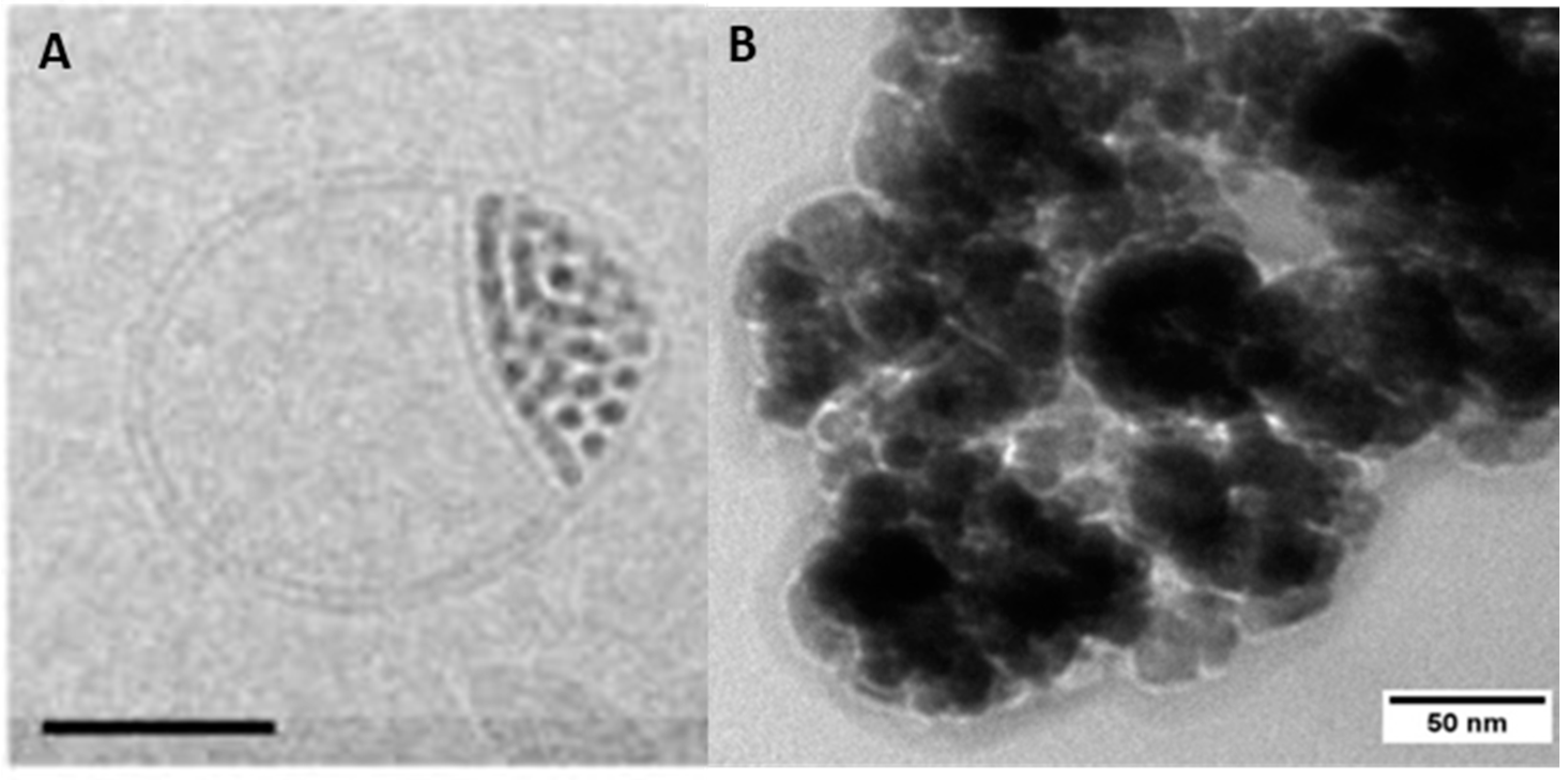 Polymers 10 00091 g007 Polymers 10 00091 g007