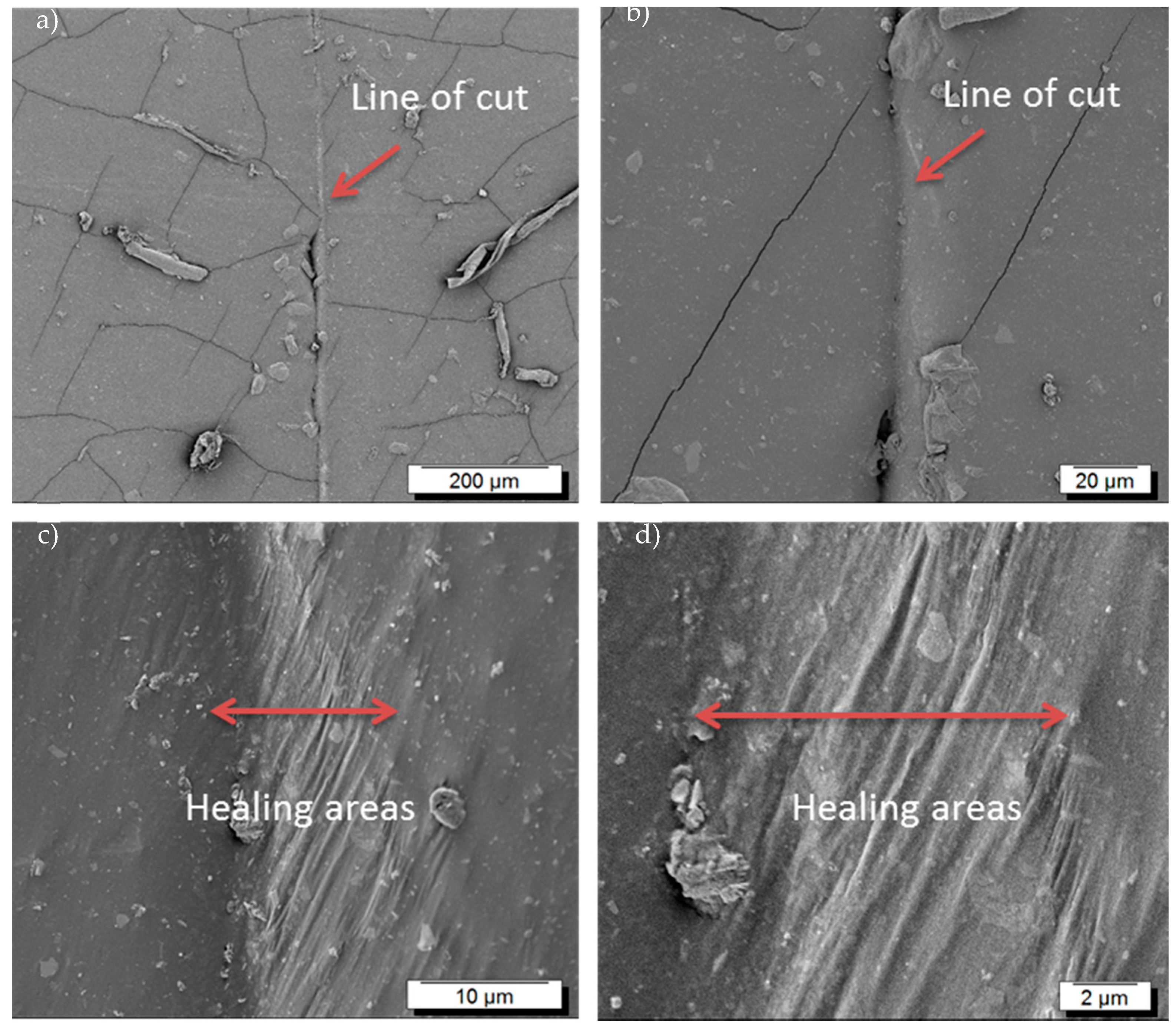 Polymers 10 00094 g002 550