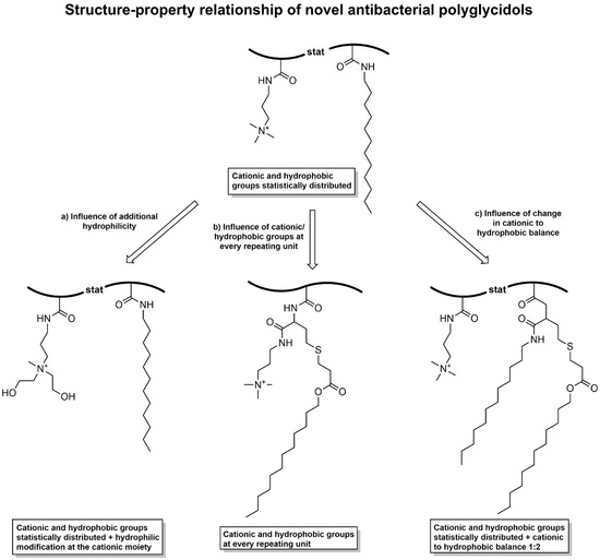 Polymers Free Full Text Novel Antibacterial Polyglycidols Relationship Between Structure And Properties Html