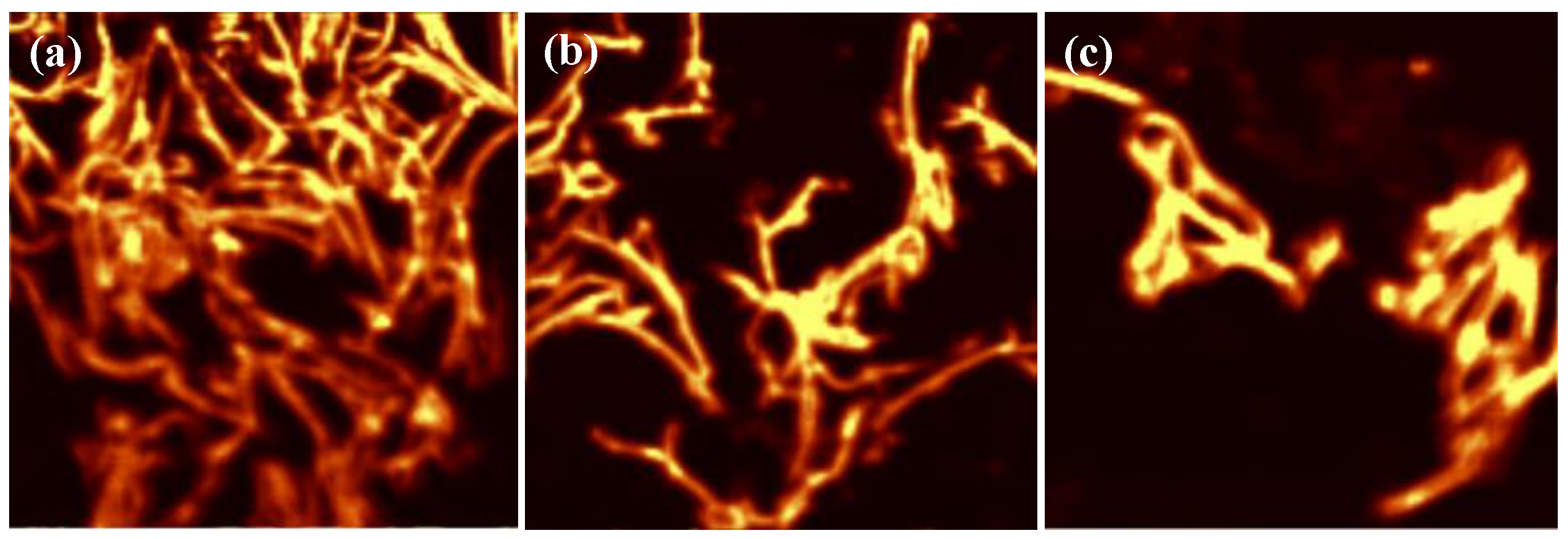 Polymers 10 00100 g004