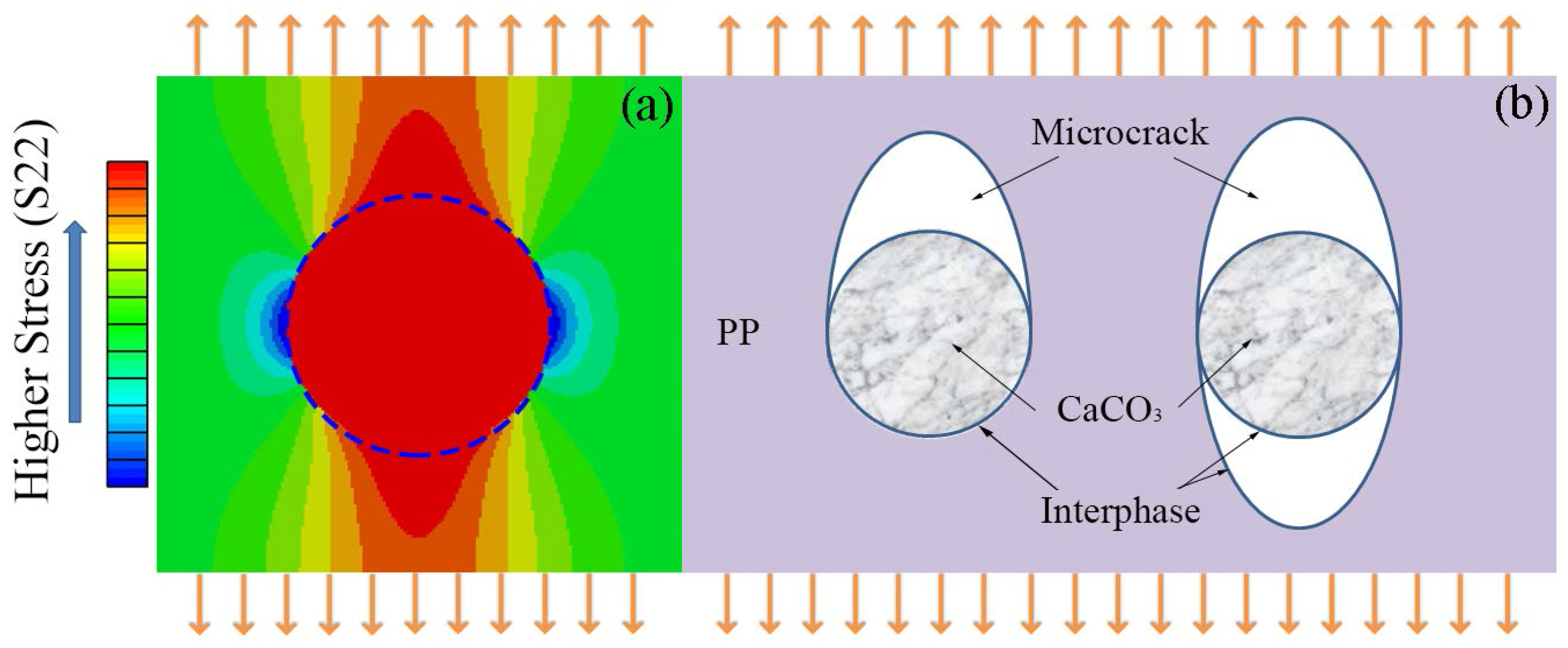 Polymers 10 00101 g006 Polymers 10 00101 g006