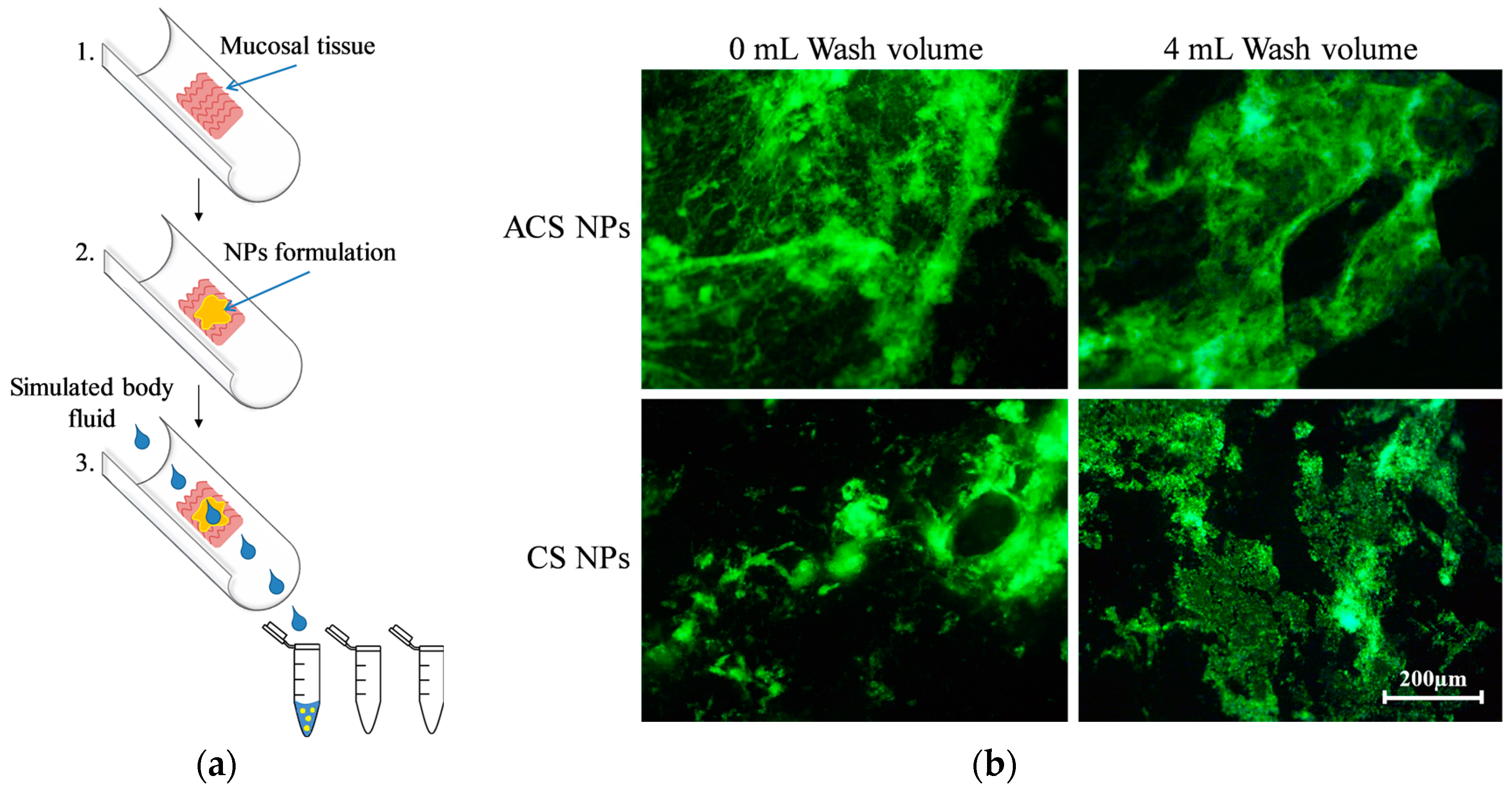 Polymers 10 00106 g004 550