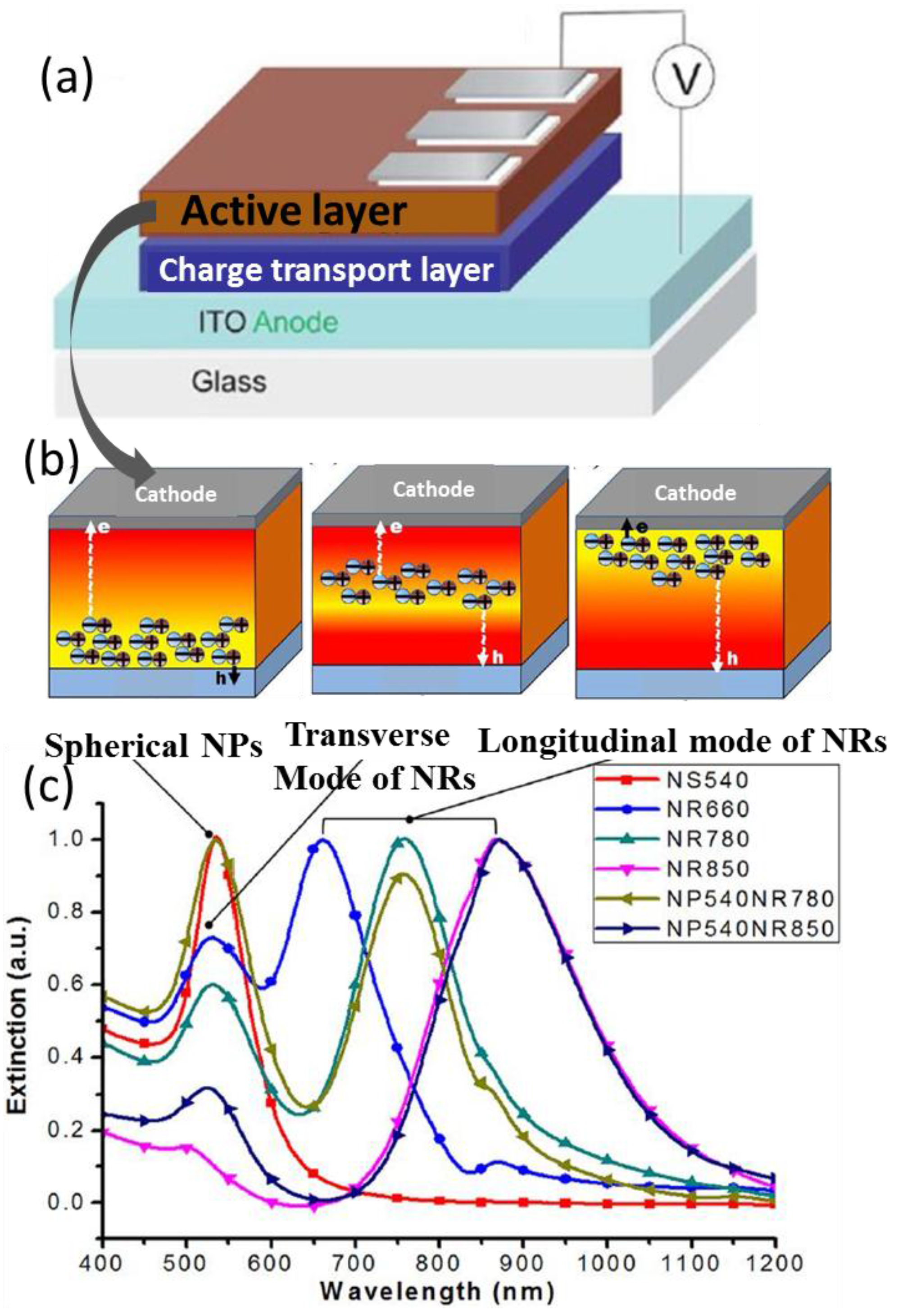 Polymers 10 00123 g004 Polymers 10 00123 g004