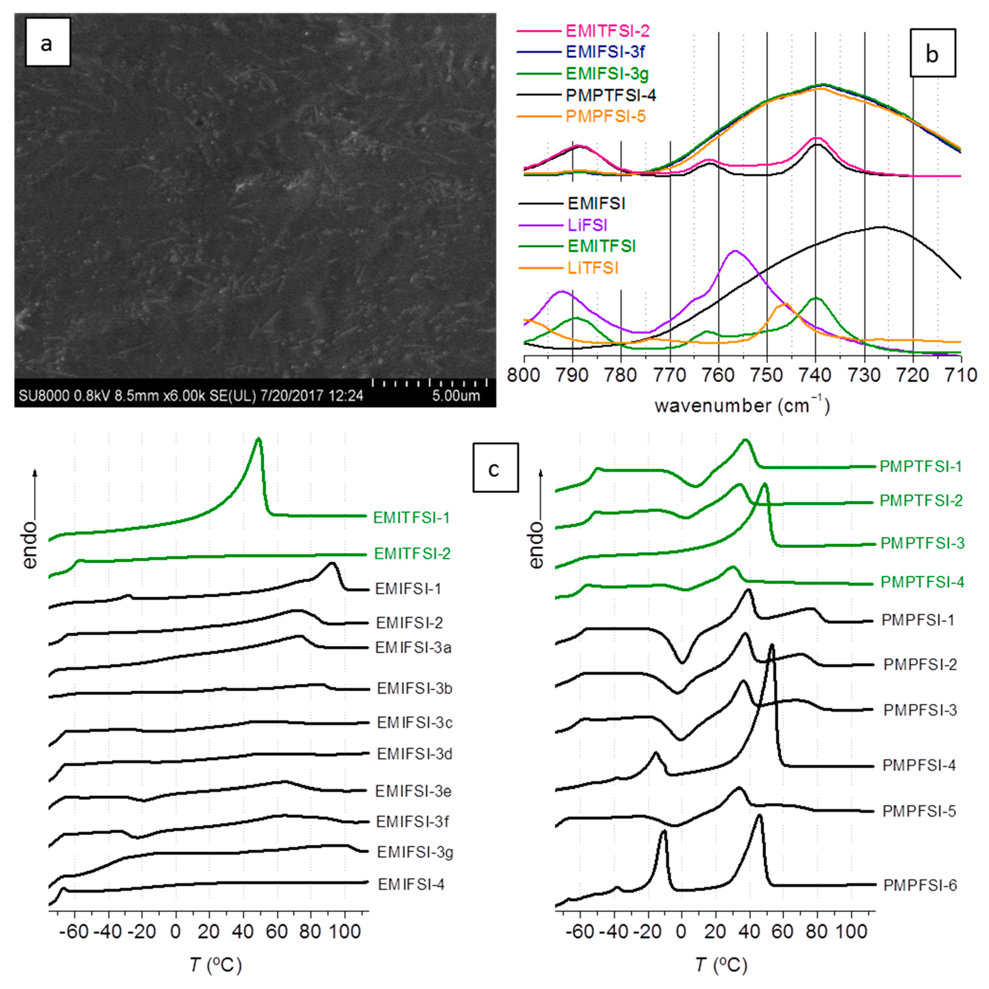 Polymers 10 00124 g002