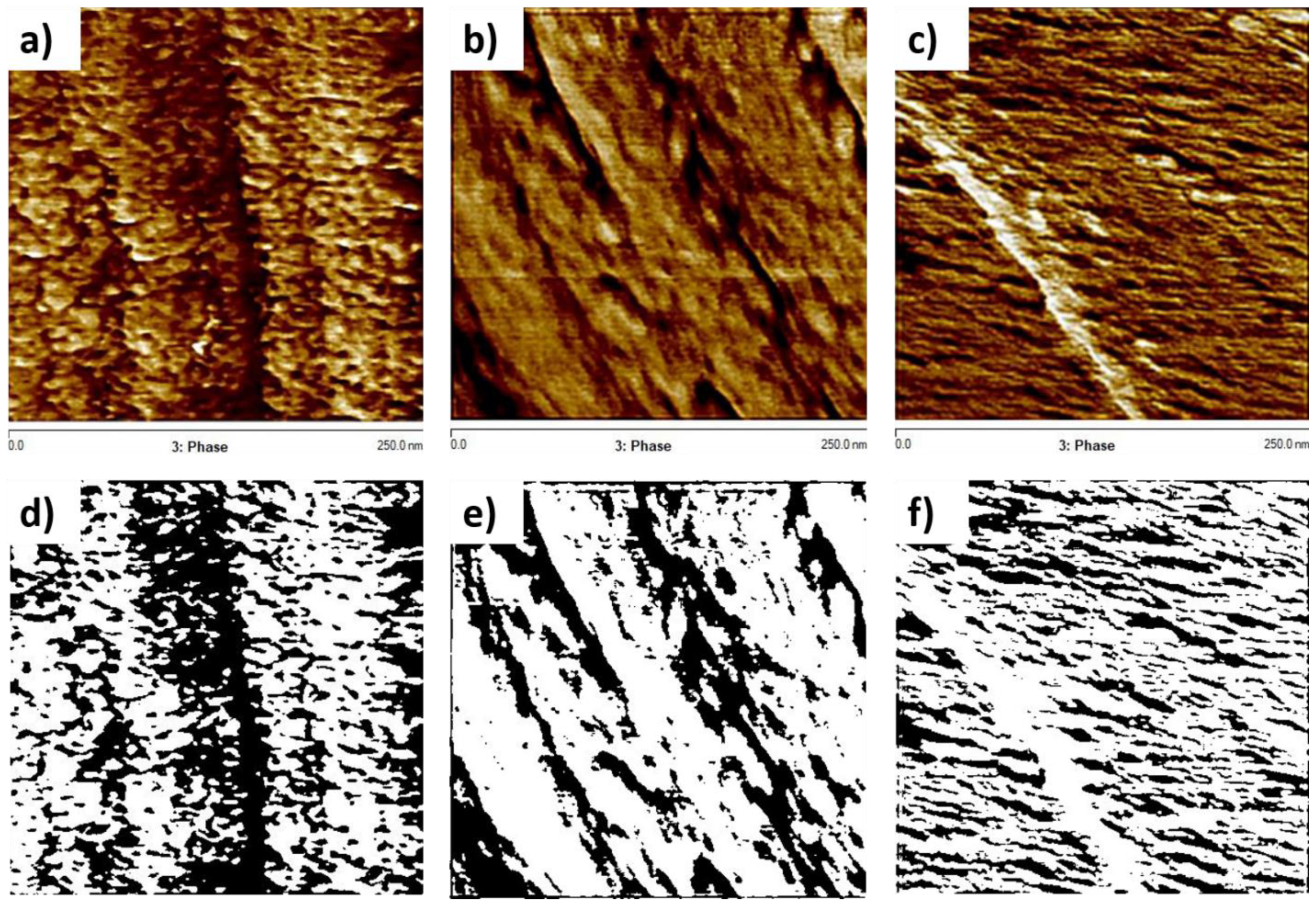 Polymers 10 00125 g001