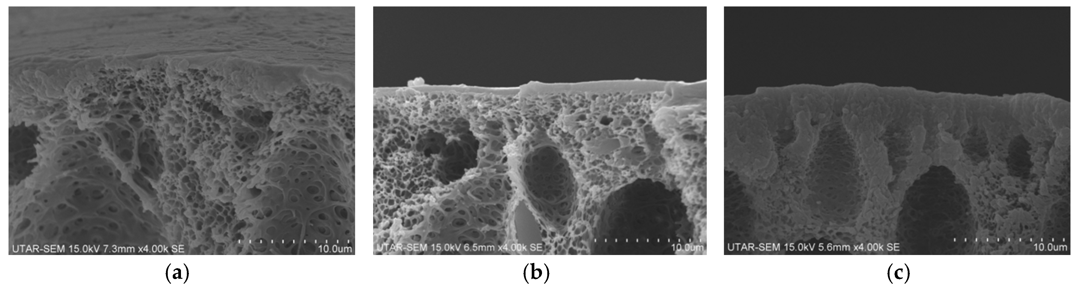 Polymers 10 00126 g004 550