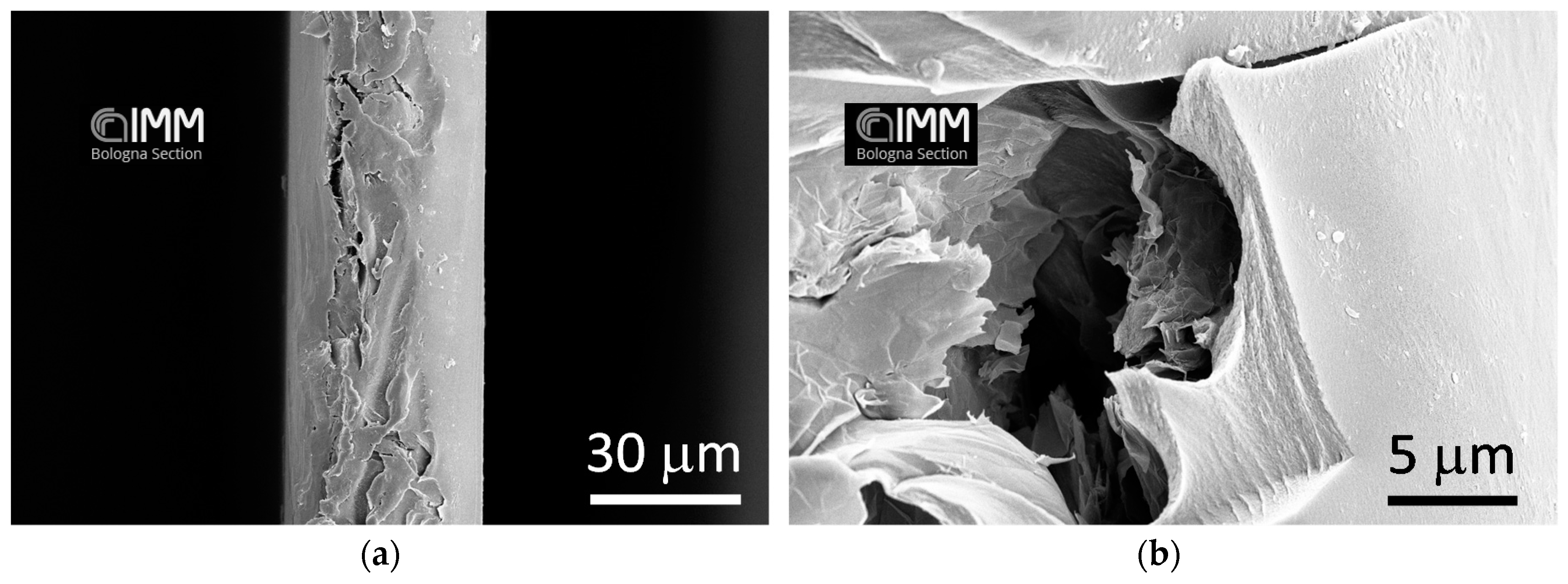Polymers 10 00129 g003a 550