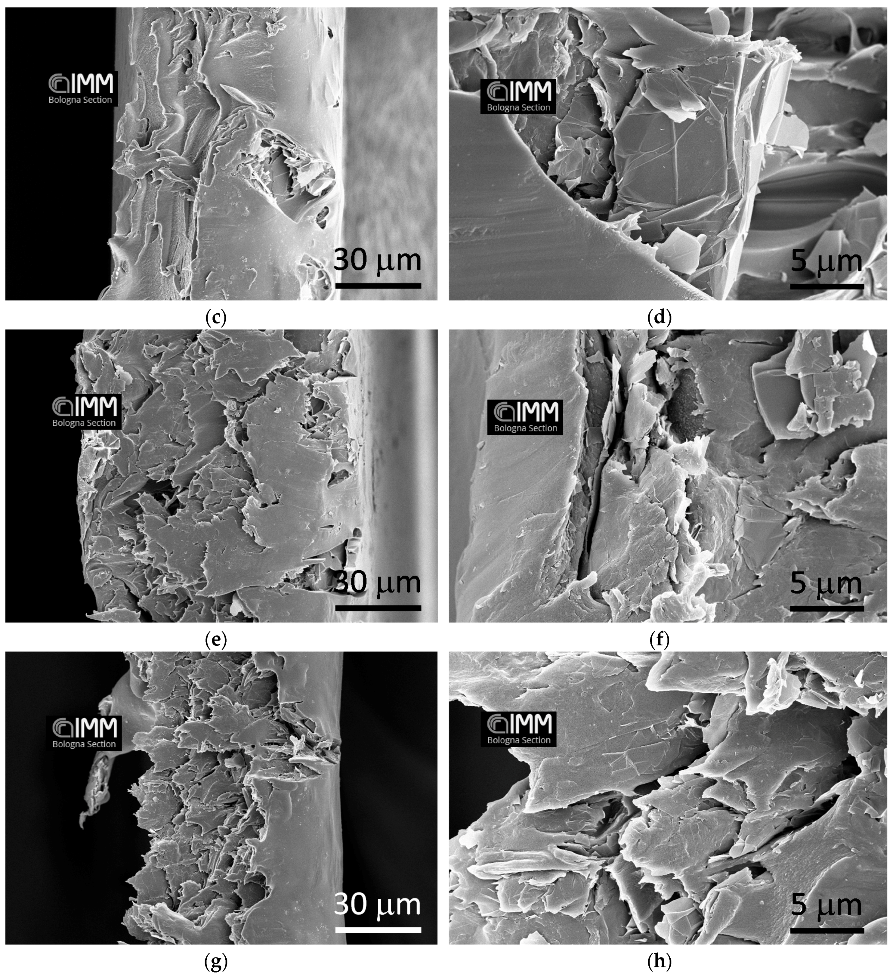 Polymers 10 00129 g003b 550