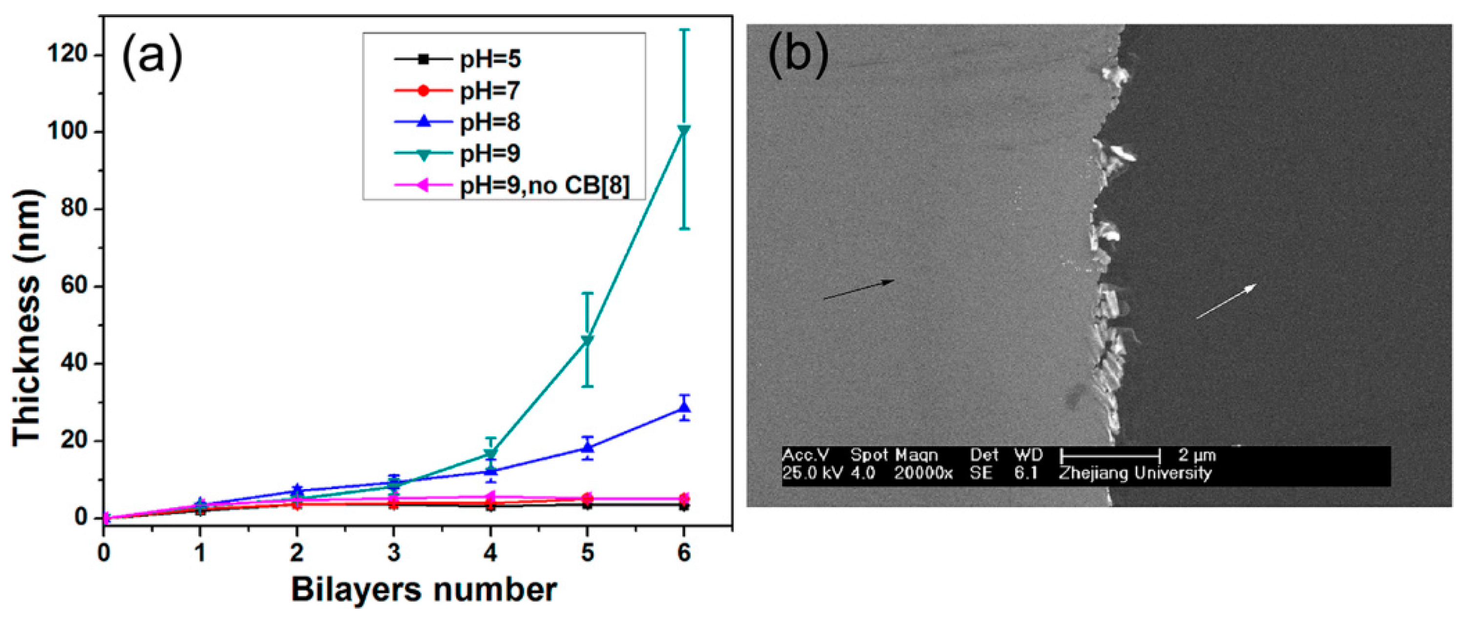 Polymers 10 00130 g006