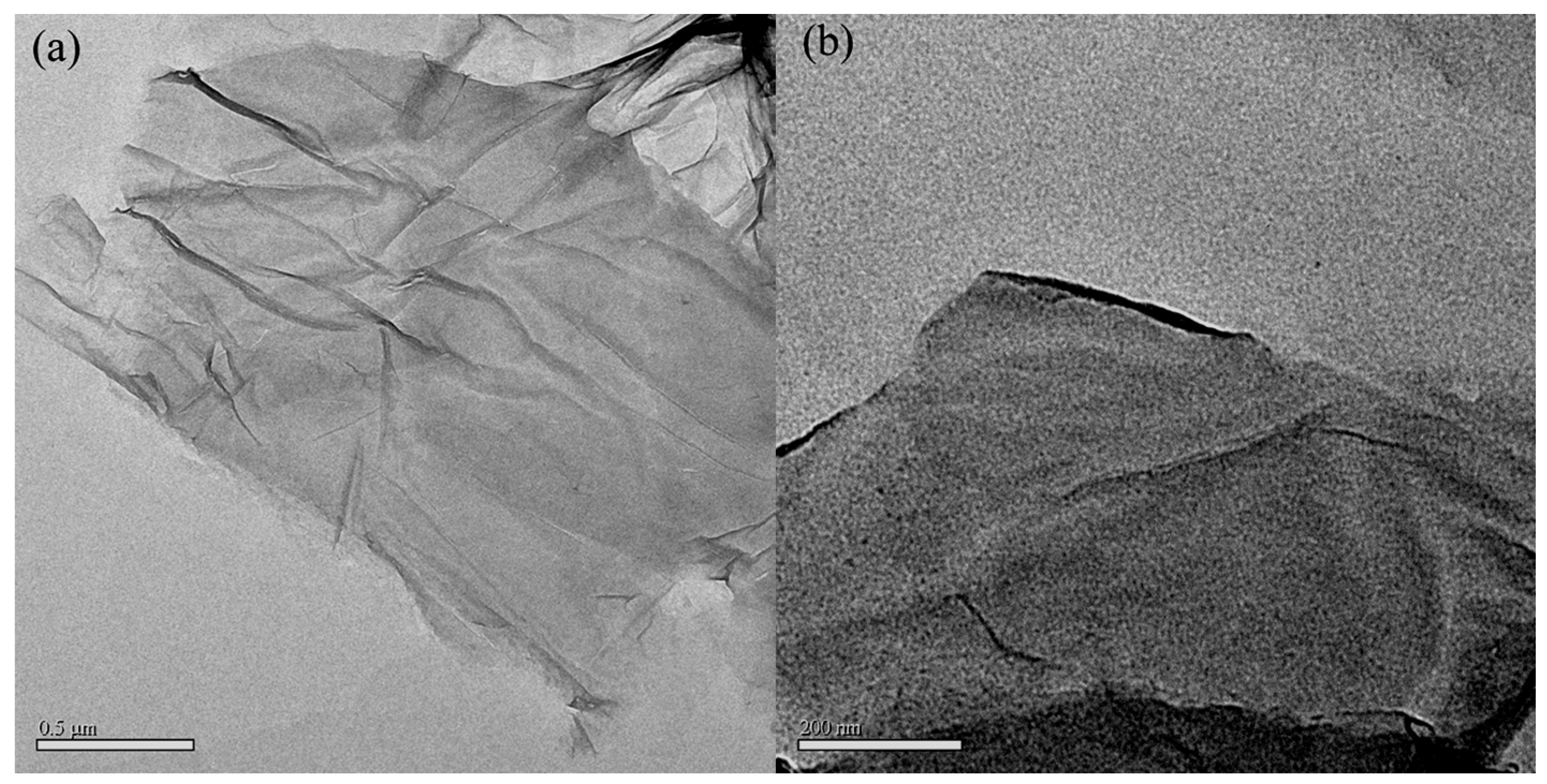 Polymers 10 00133 g004