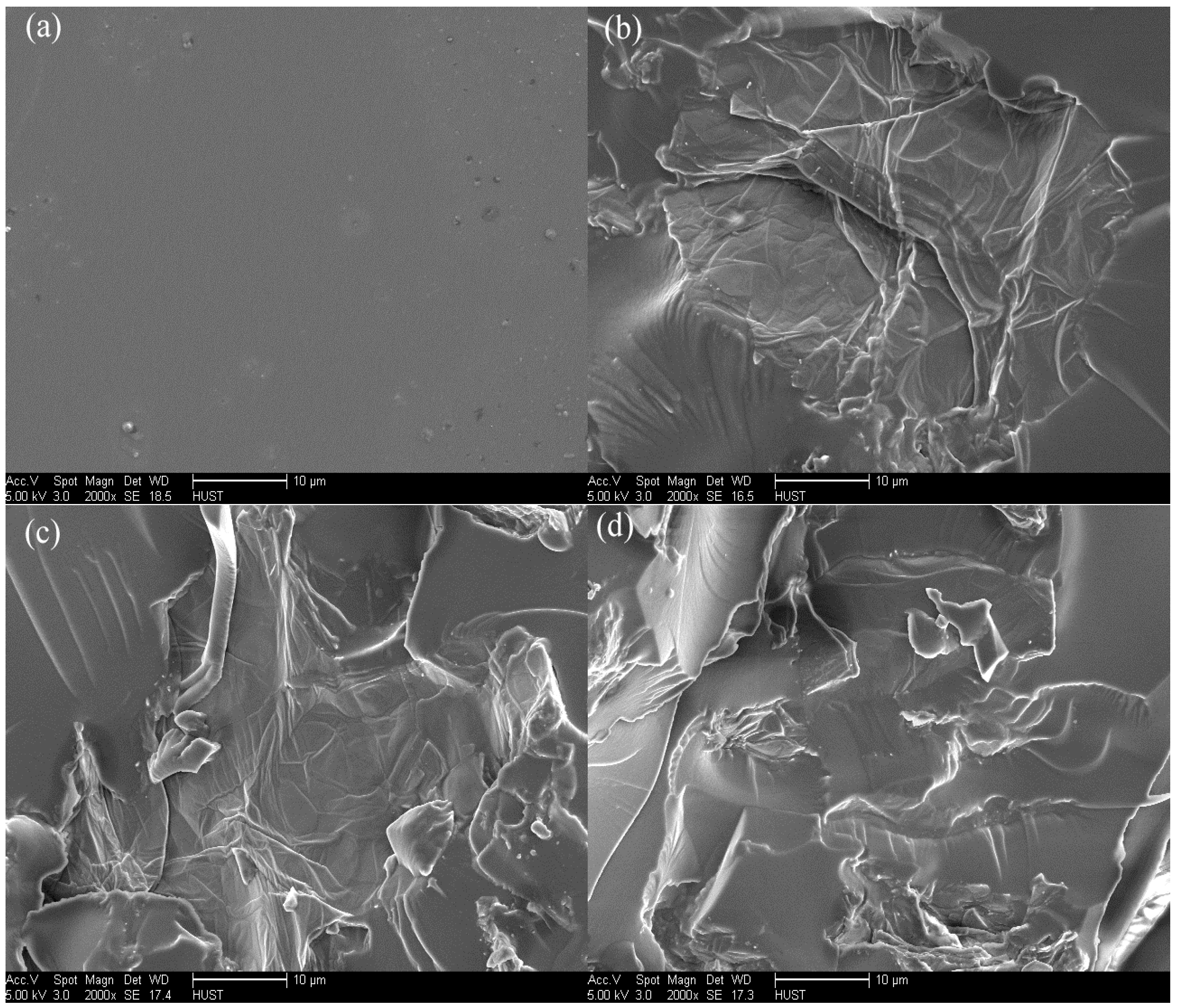 Polymers 10 00133 g006