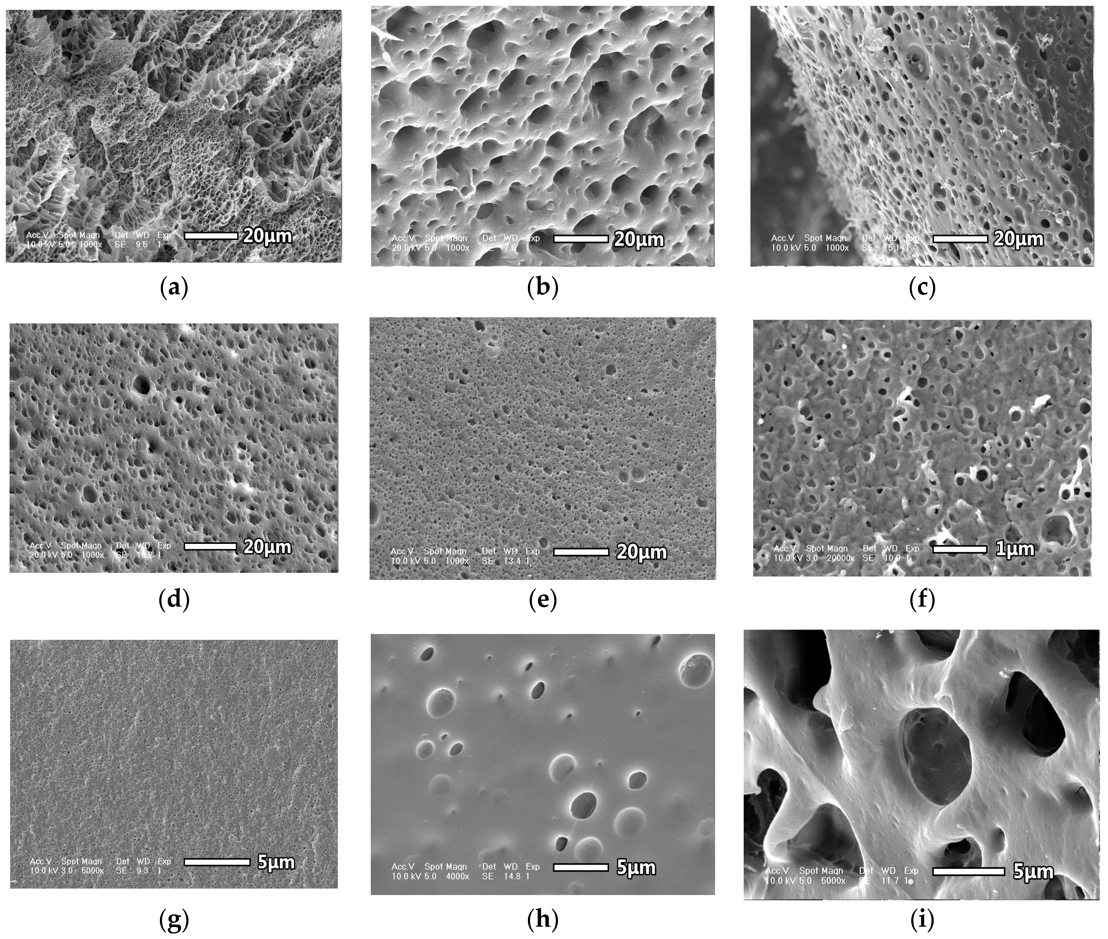Polymers 10 00137 g003 550