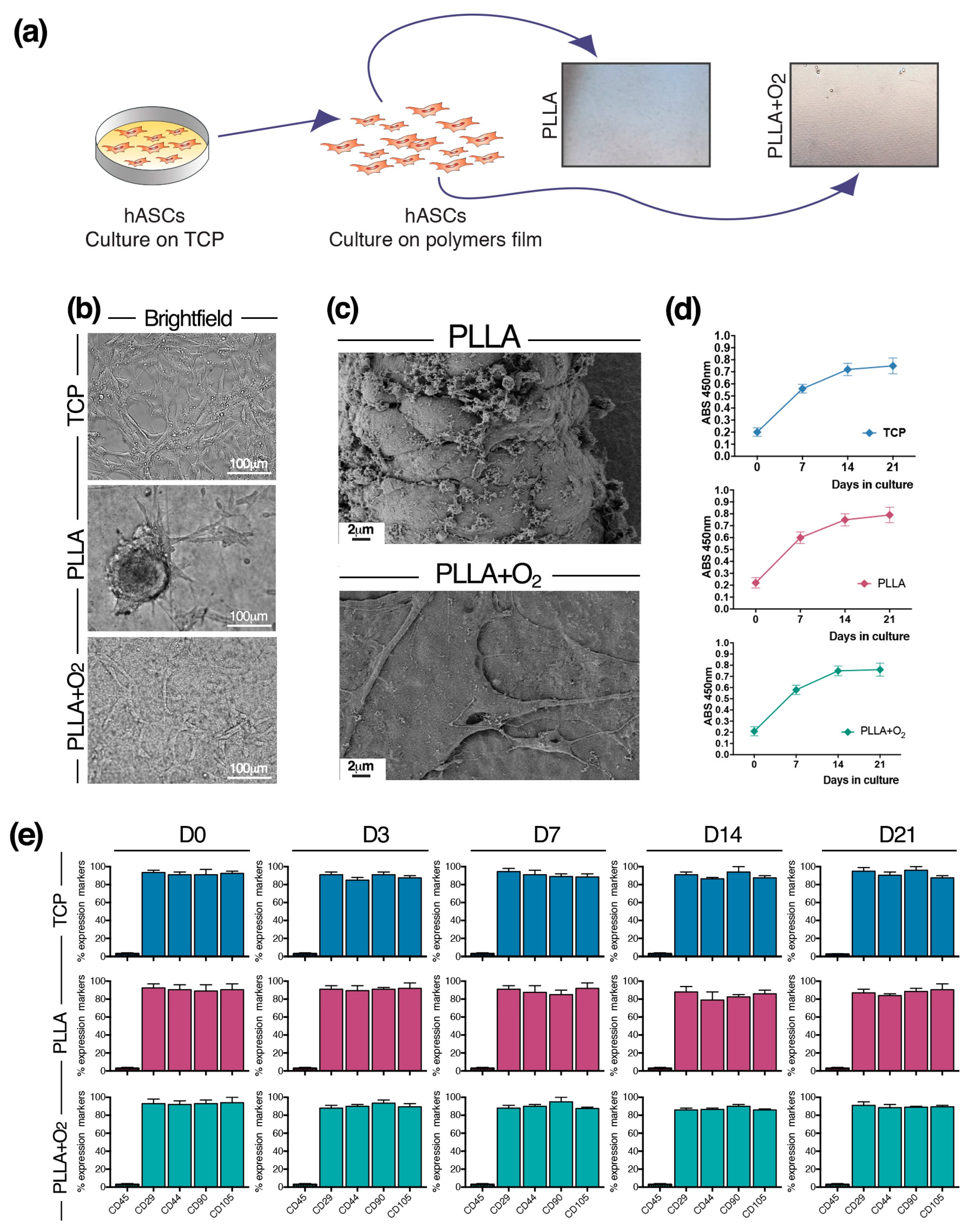 Polymers 10 00140 g002