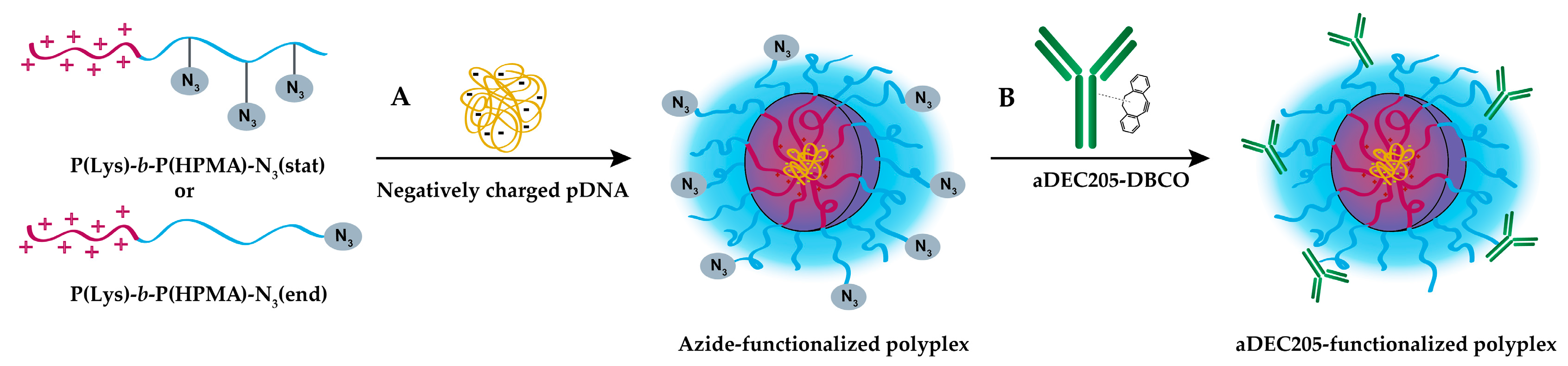 Polymers 10 00141 sch001