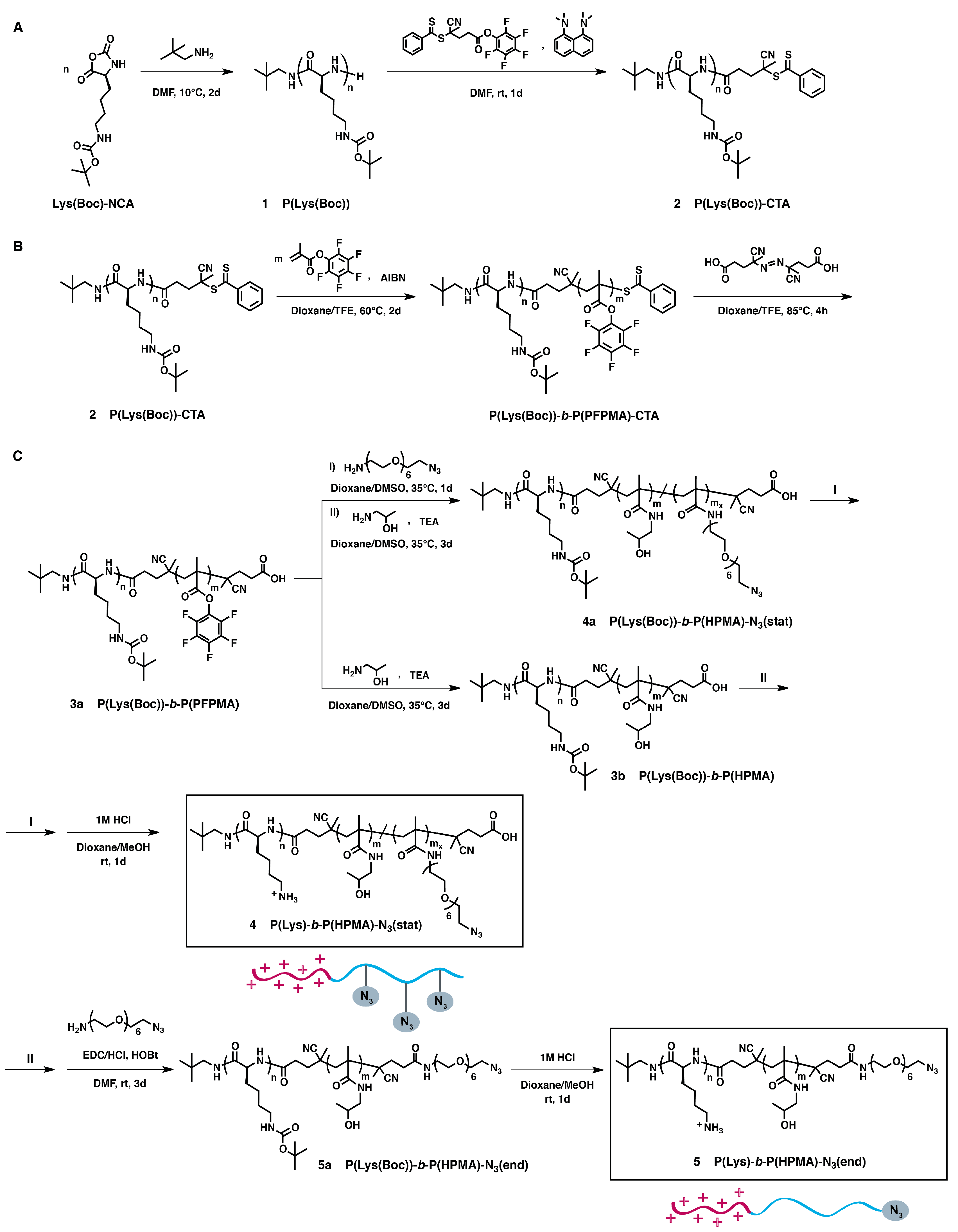 Polymers 10 00141 sch002