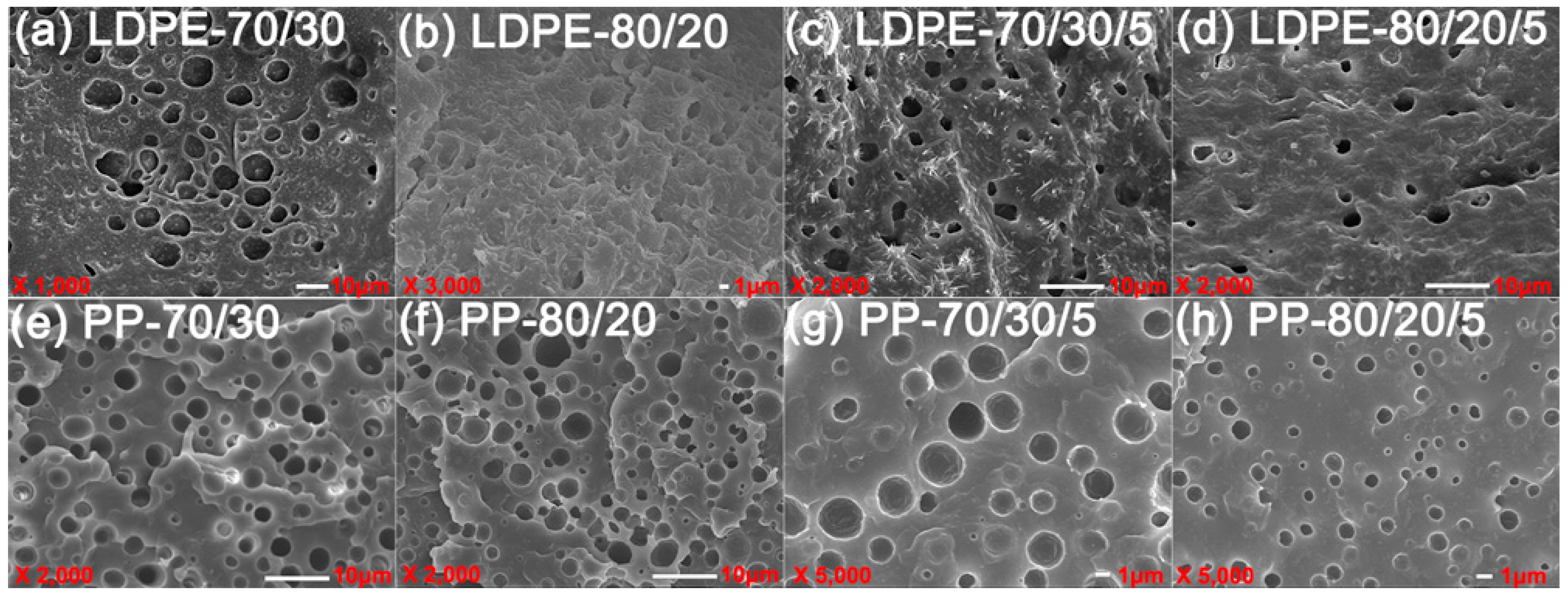 Polymers 10 00147 g008