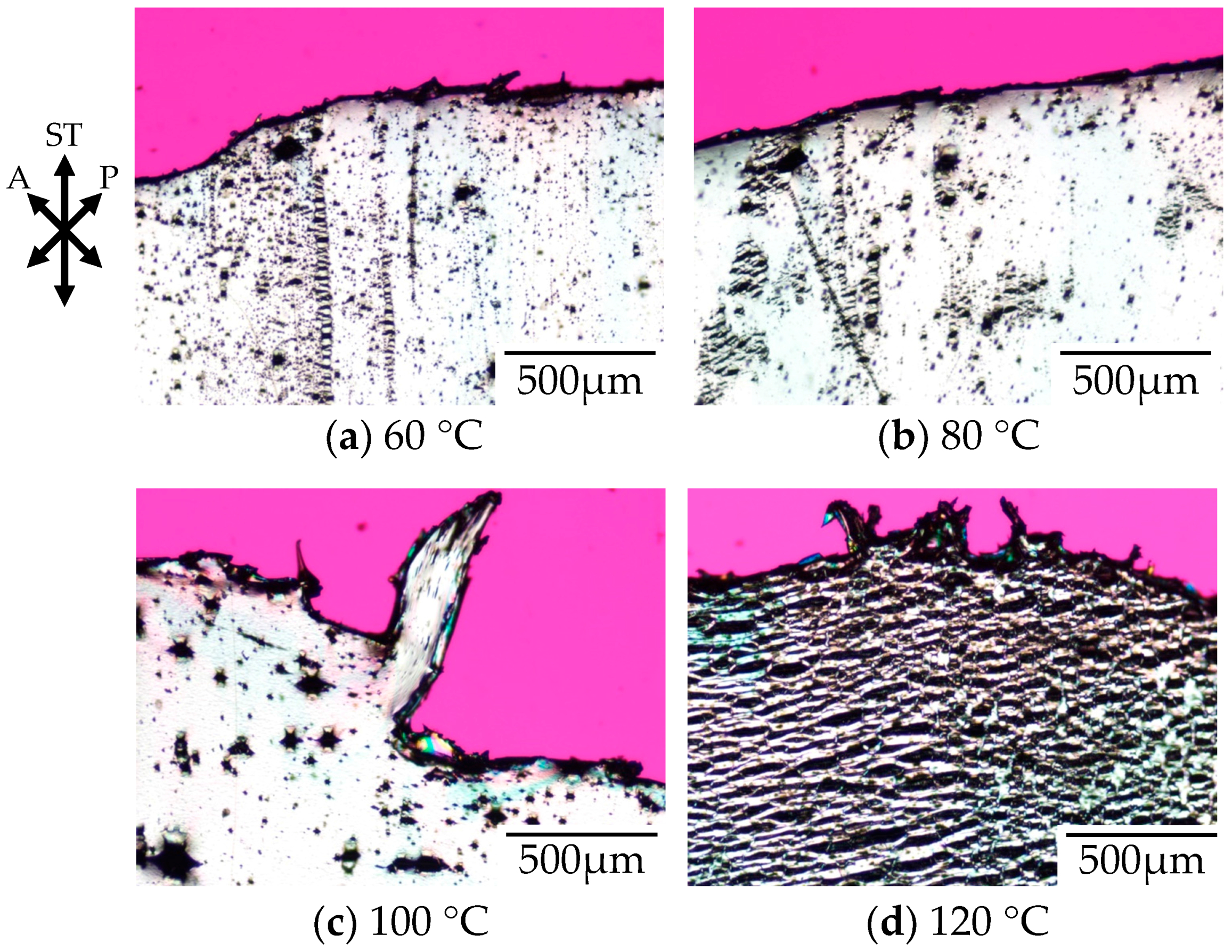 Polymers 10 00148 g002 550