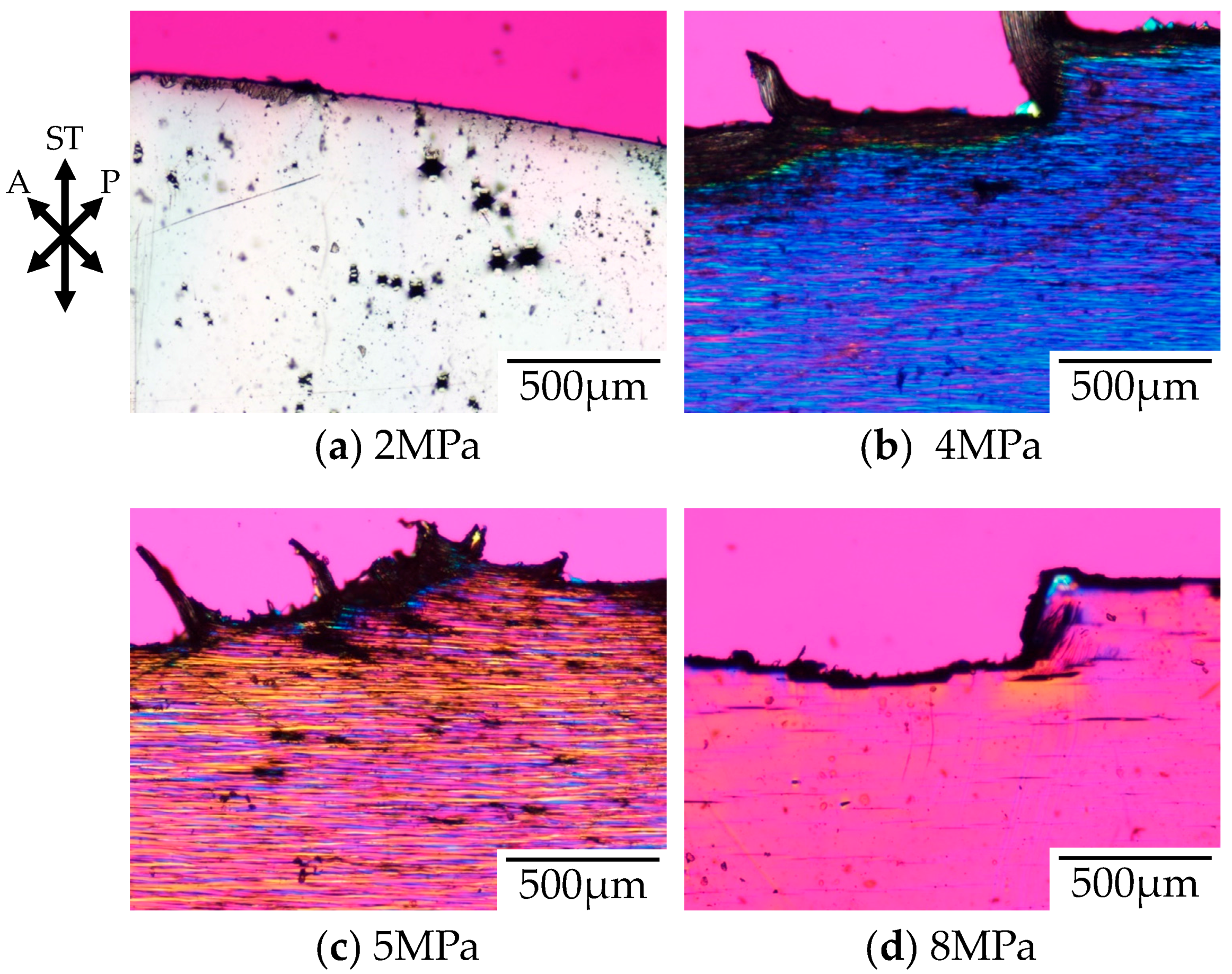 Polymers 10 00148 g005 550