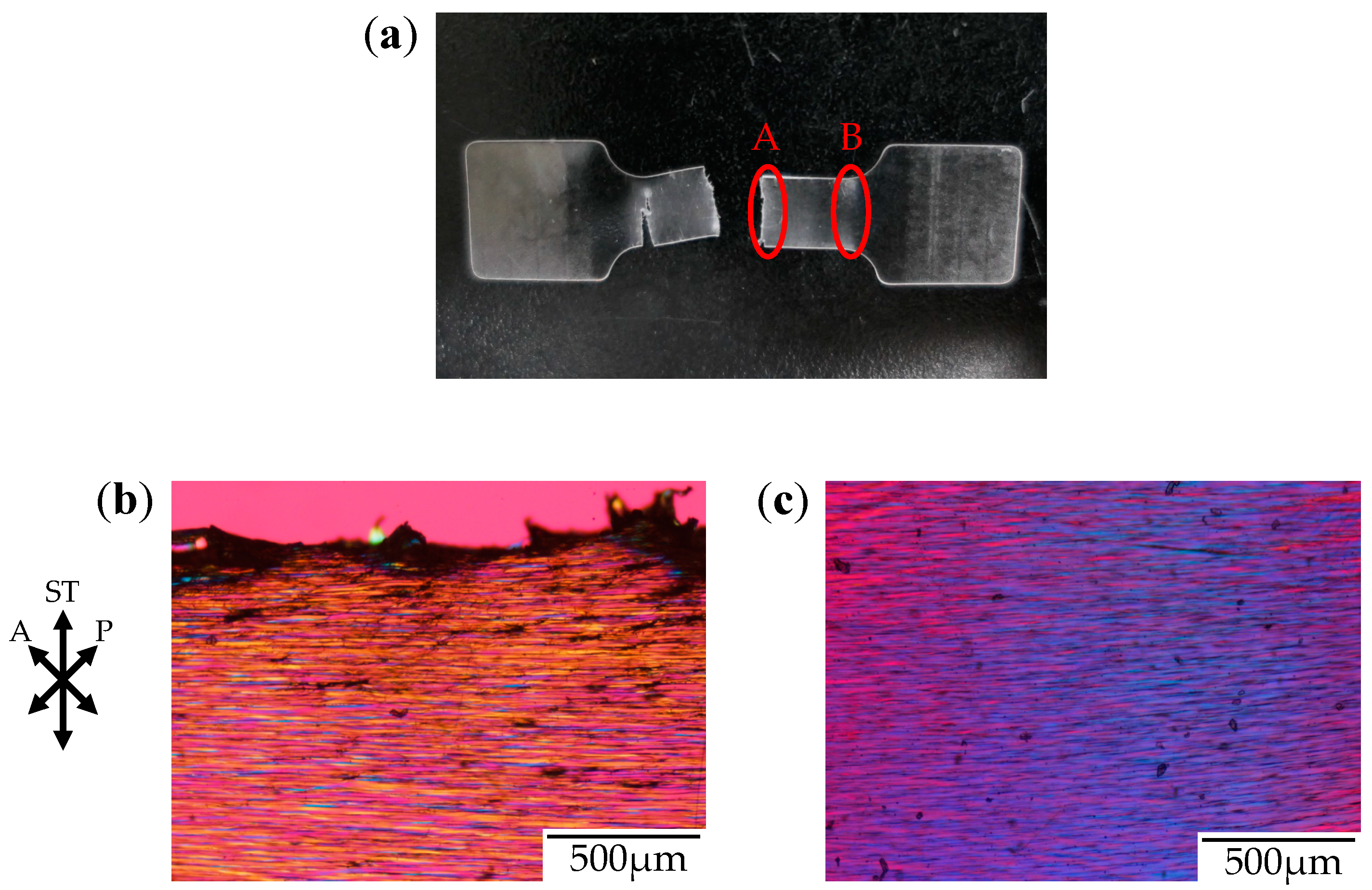 Polymers 10 00148 g006 550
