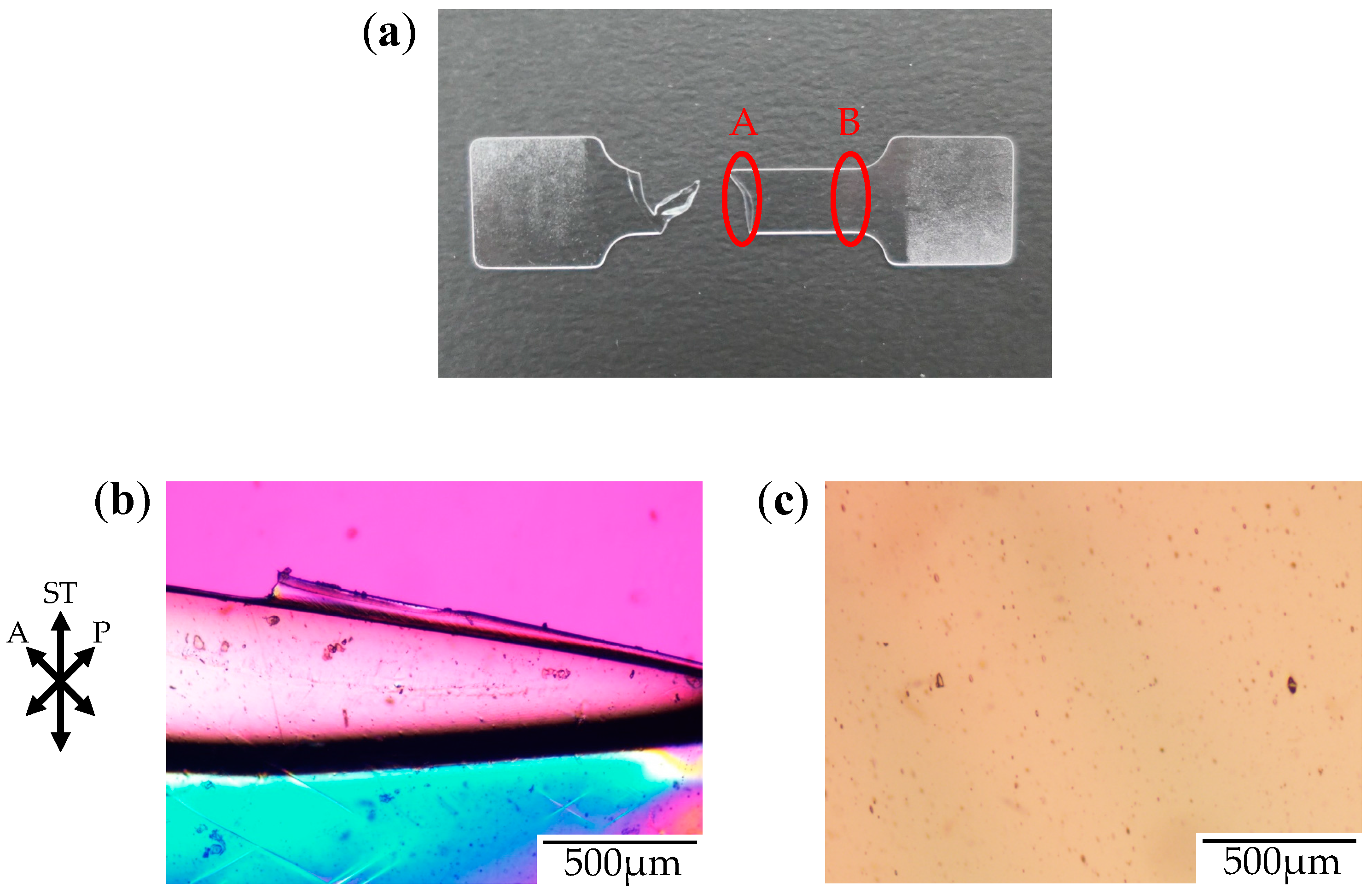 Polymers 10 00148 g013 550