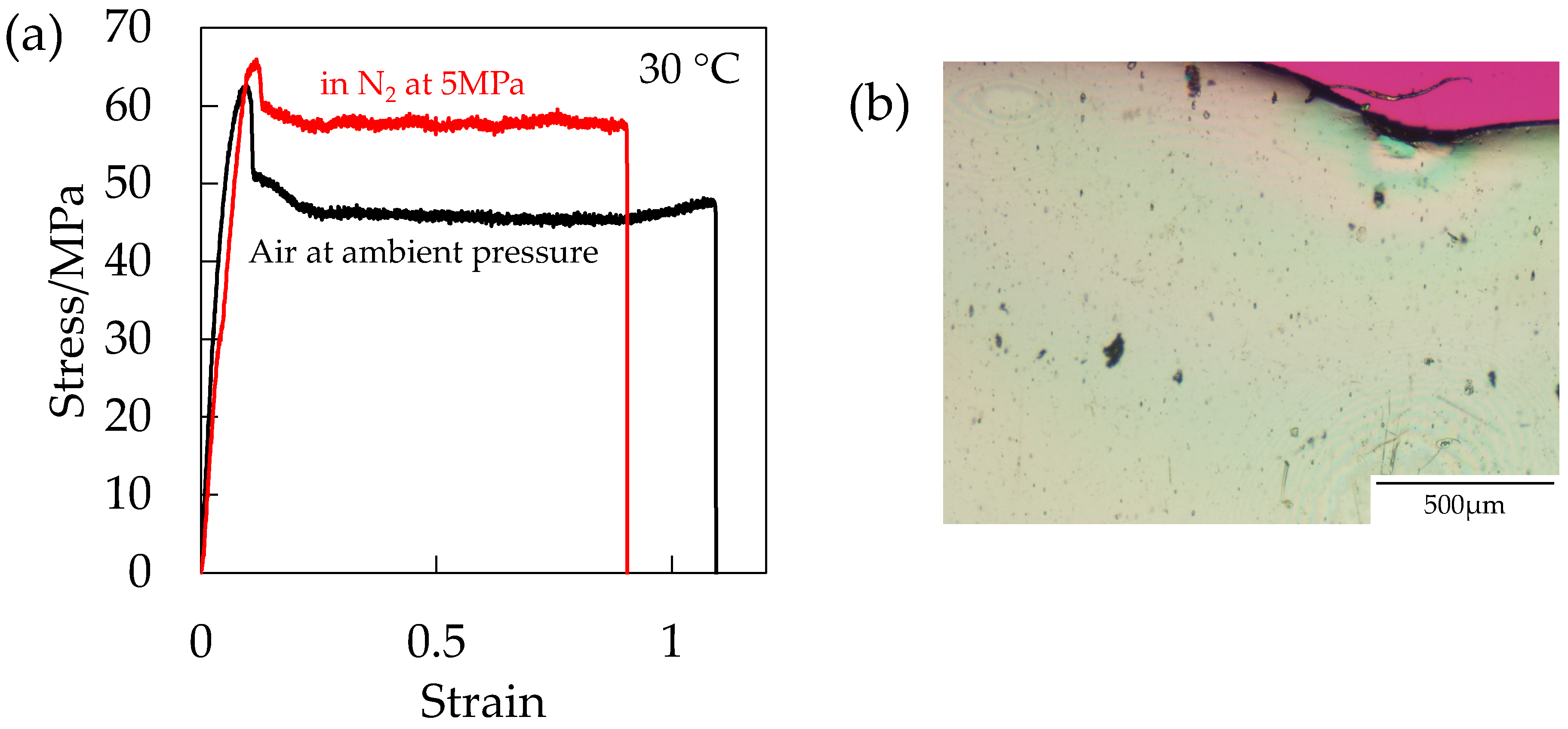 Polymers 10 00148 g014 550