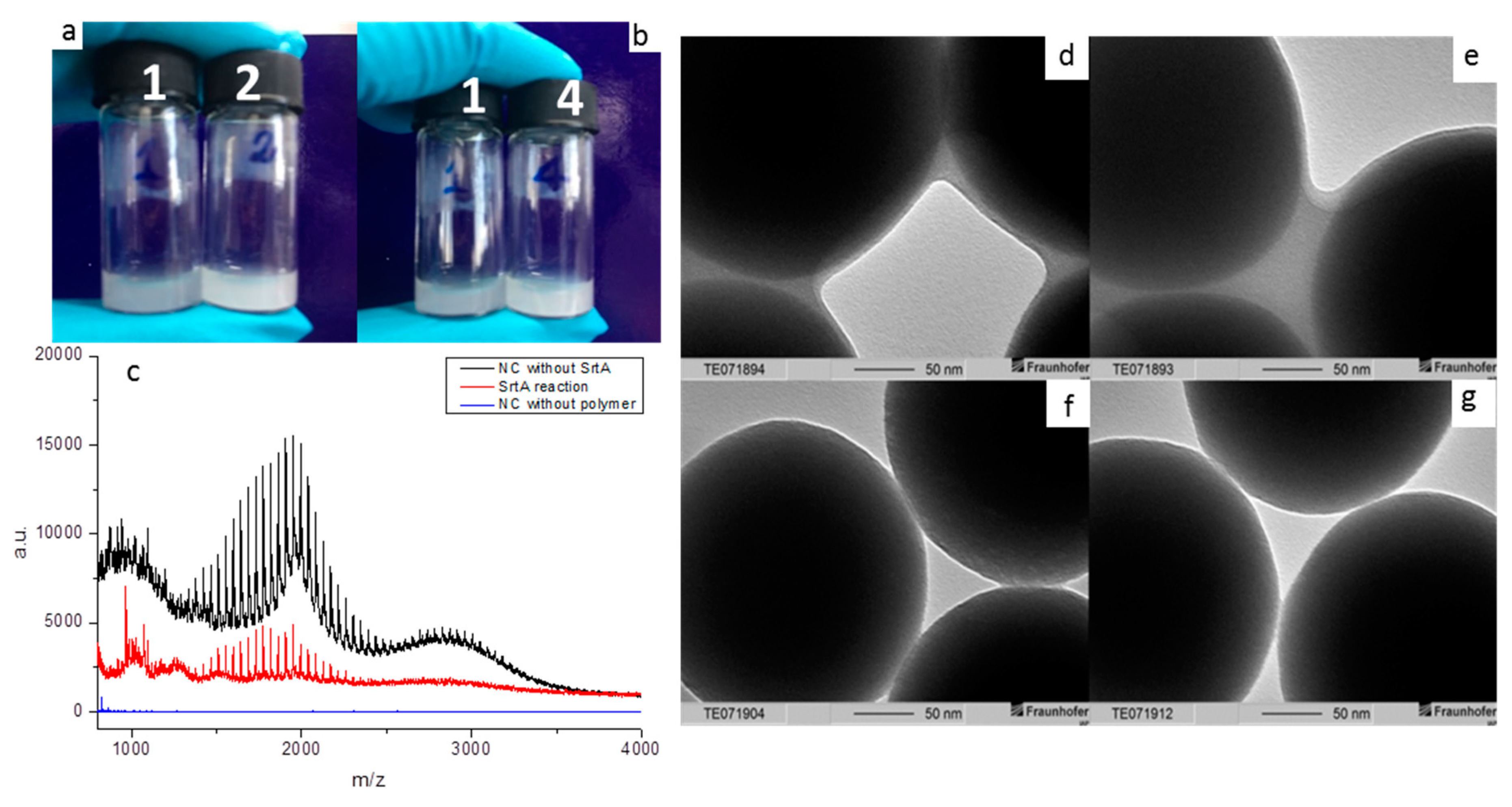 Polymers 10 00151 g001