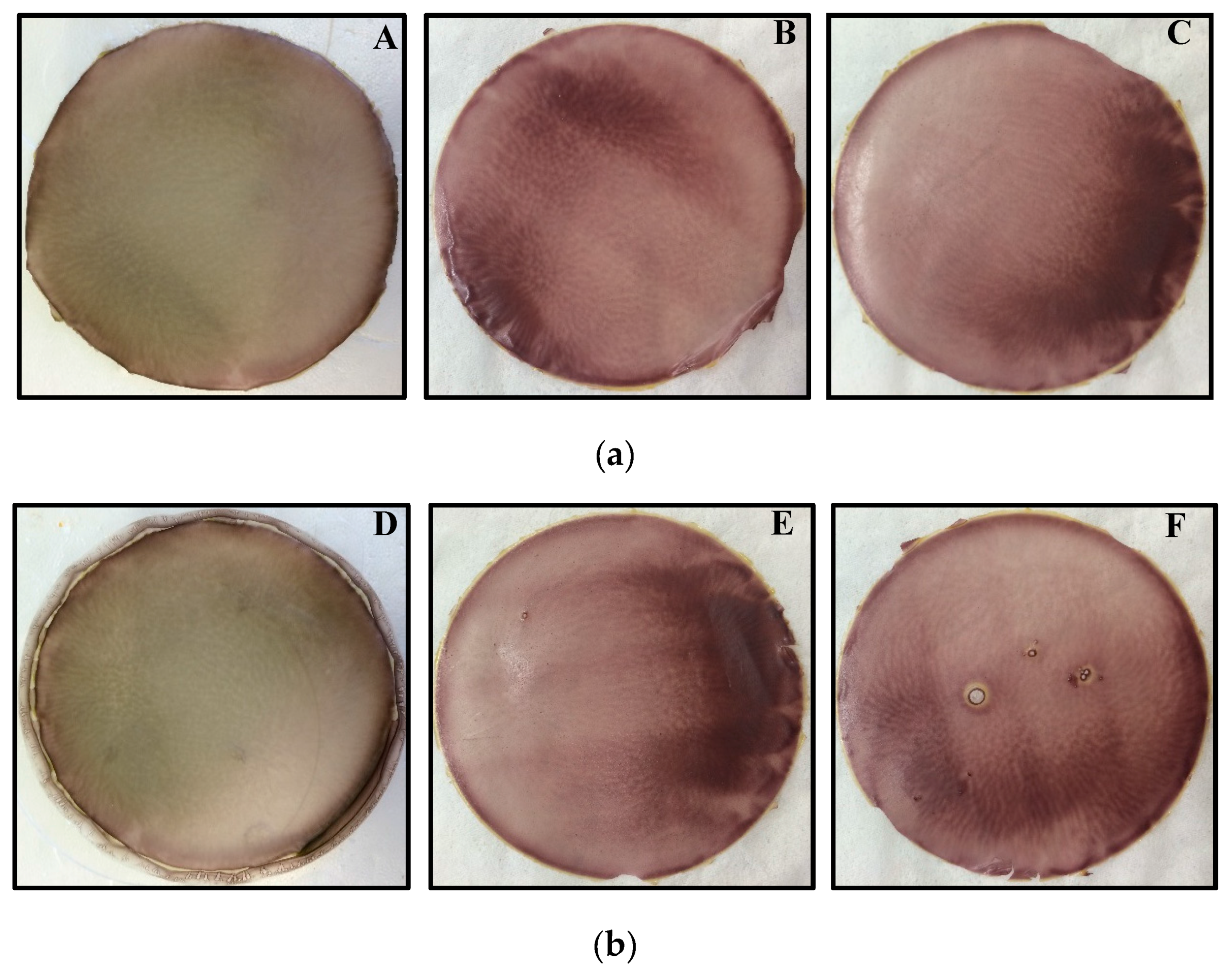 Polymers 10 00157 g001 550