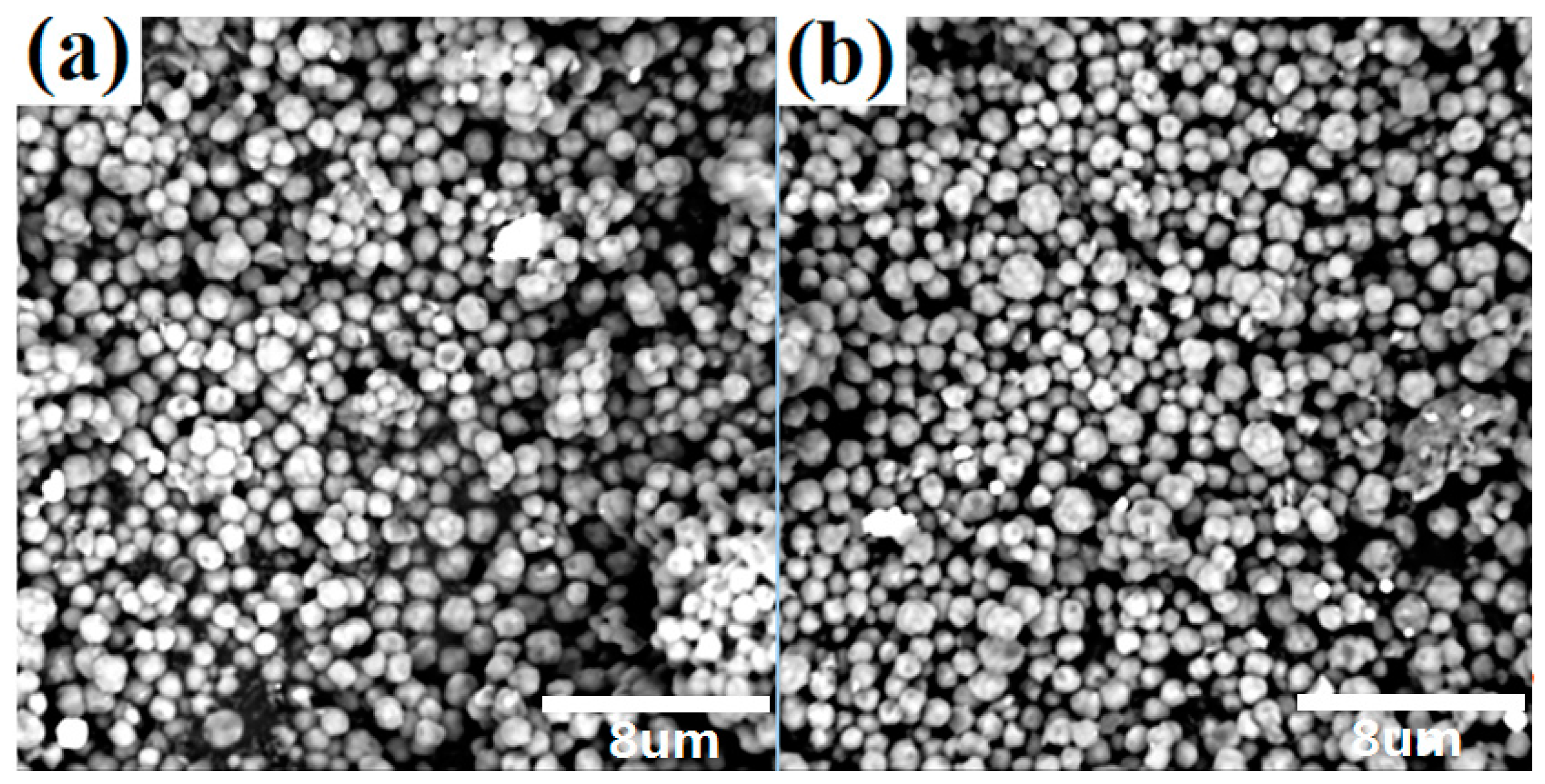 Polymers 10 00159 g001