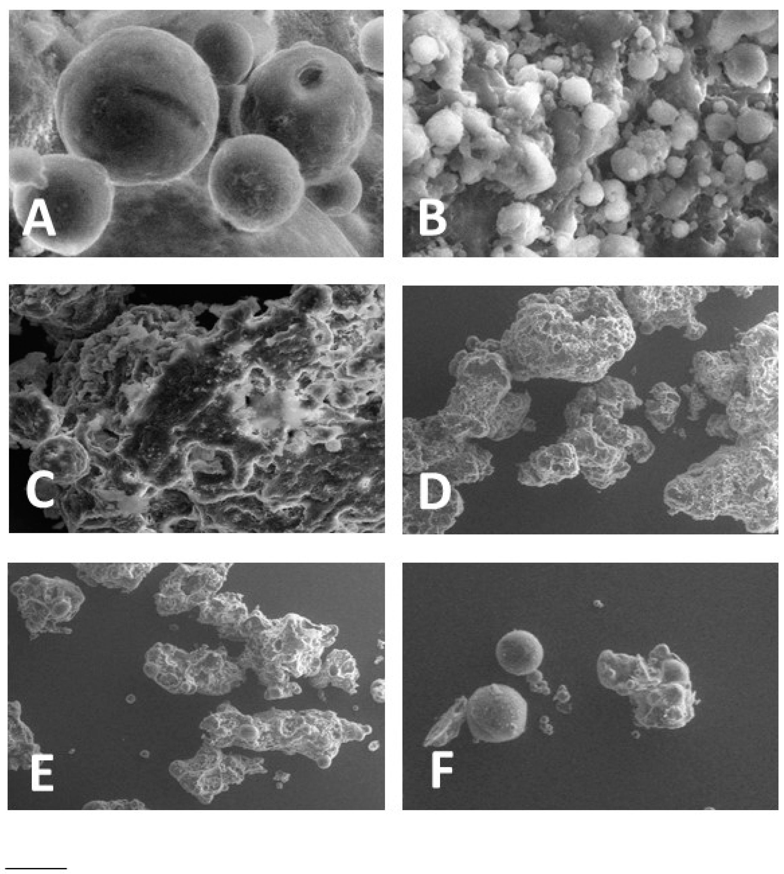 Polymers 10 00160 g001