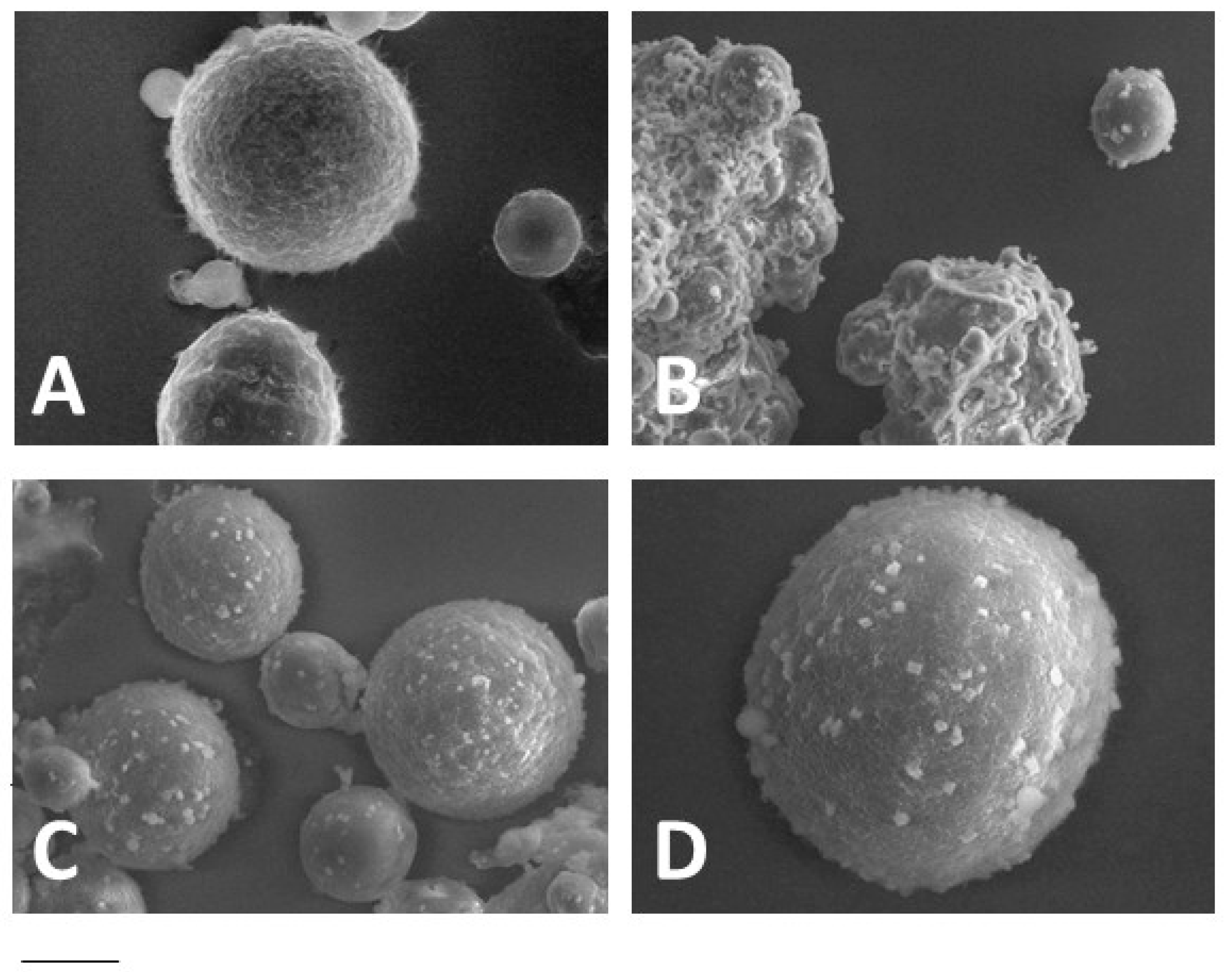 Polymers 10 00160 g002