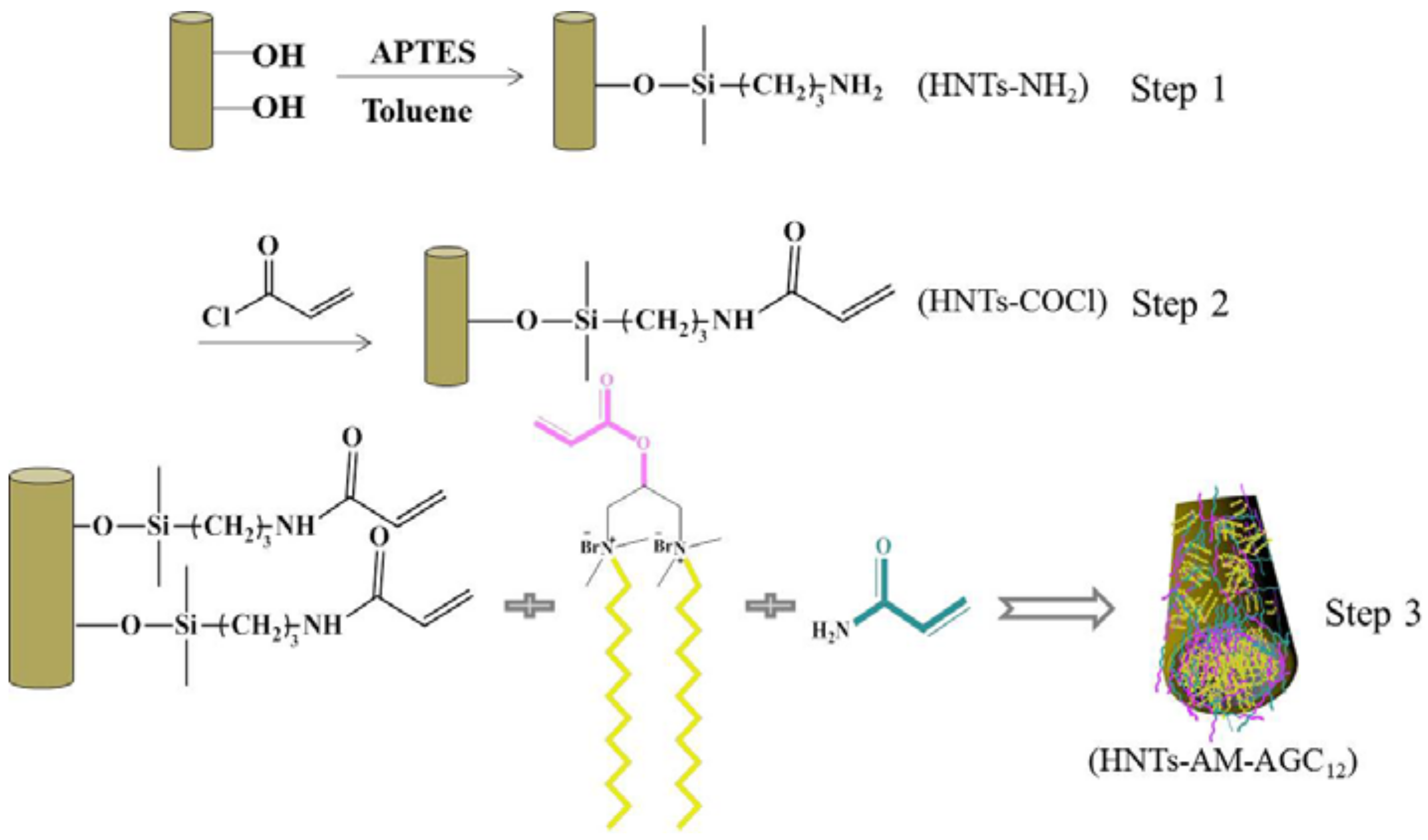 Polymers 10 00163 sch003 Polymers 10 00163 sch003