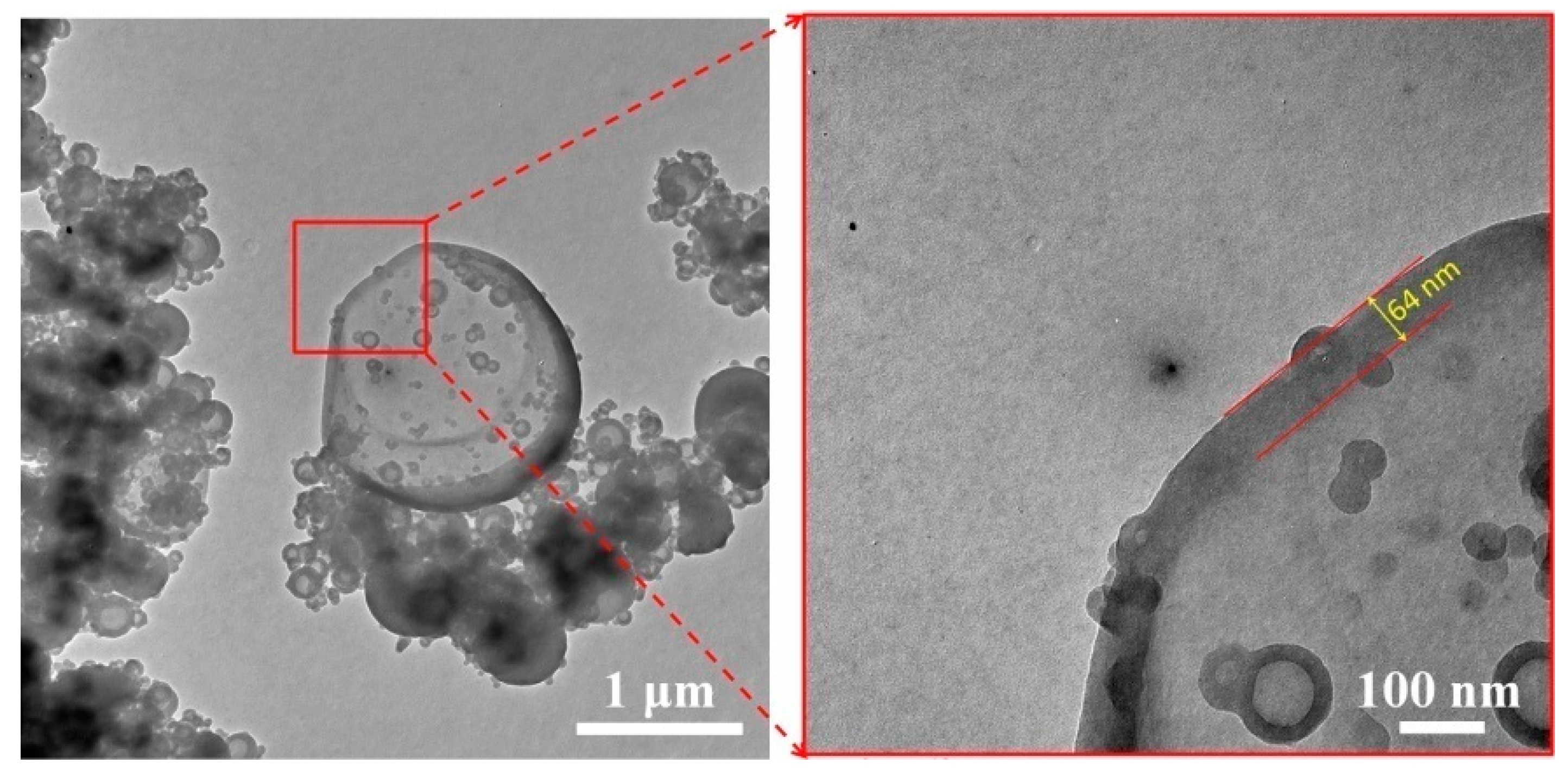 Polymers 10 00172 g005 550