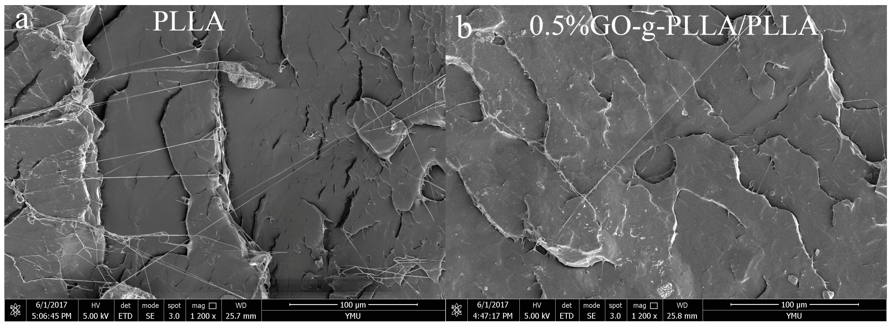 Polymers 10 00177 g011 550