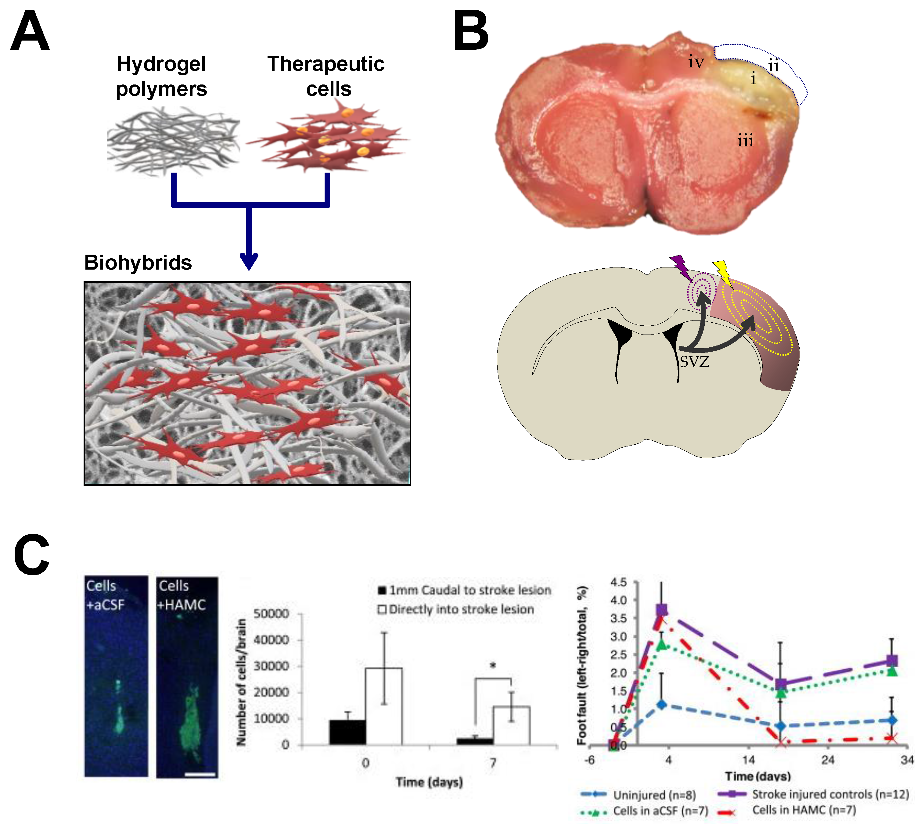Polymers 10 00184 g003 Polymers 10 00184 g003