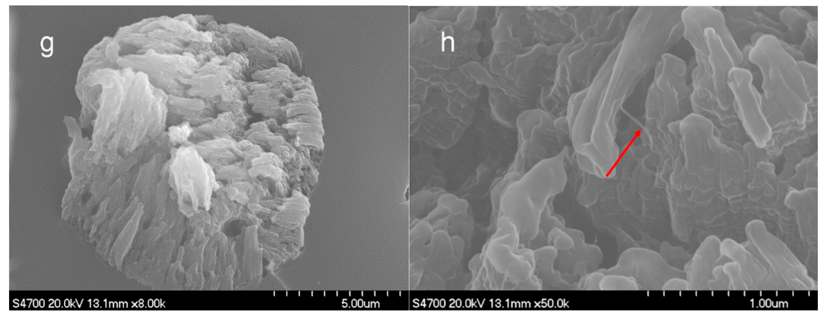 Polymers 10 00186 g009b