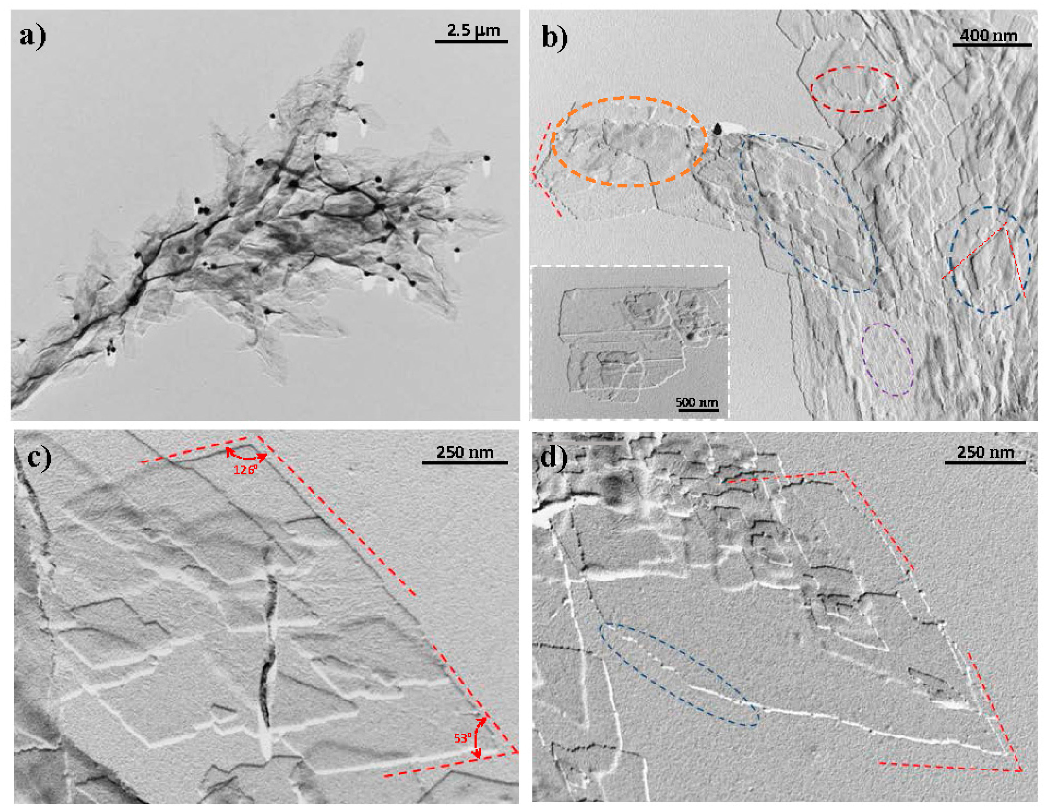 Polymers 10 00198 g002