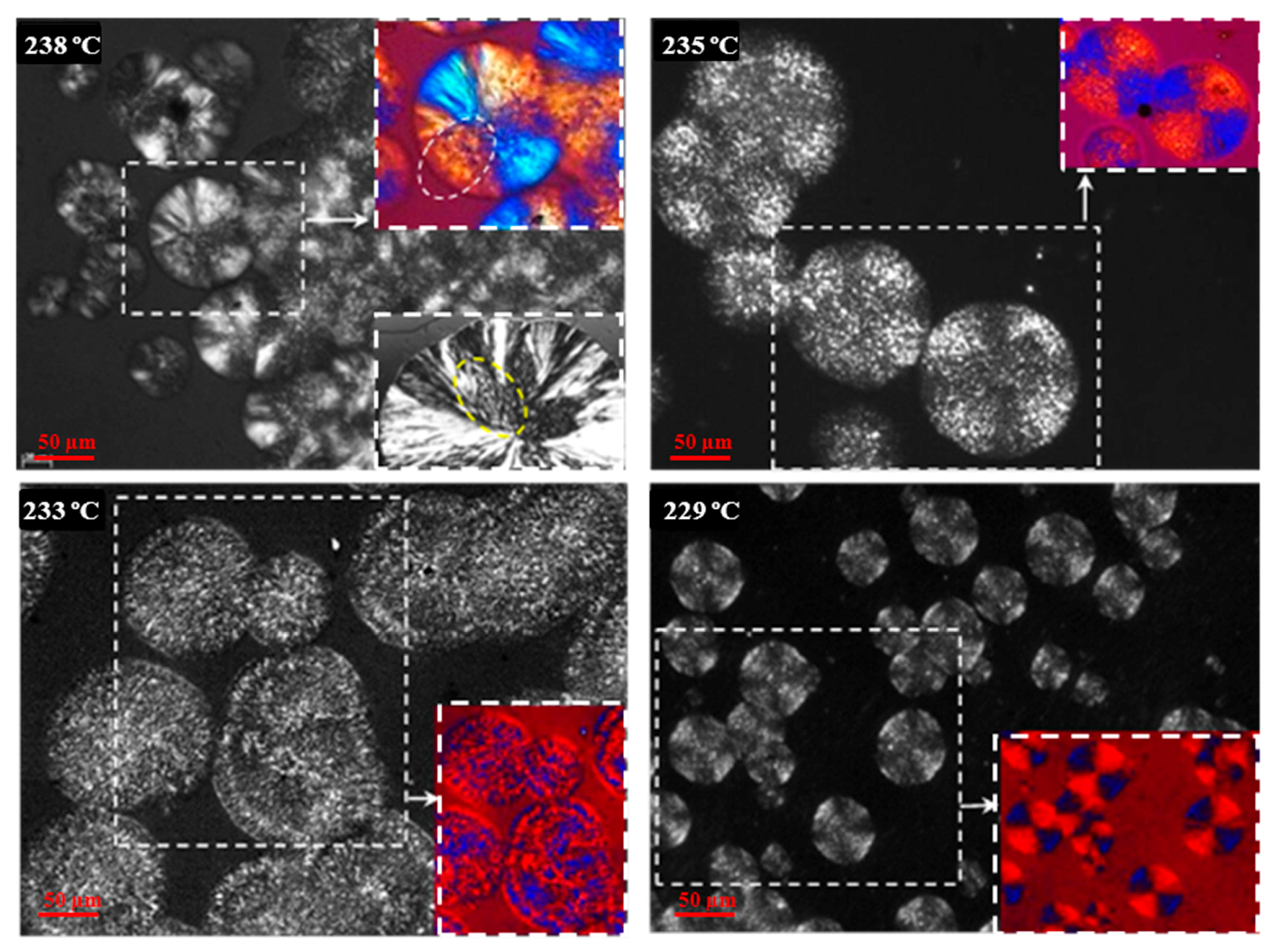 Polymers 10 00198 g017