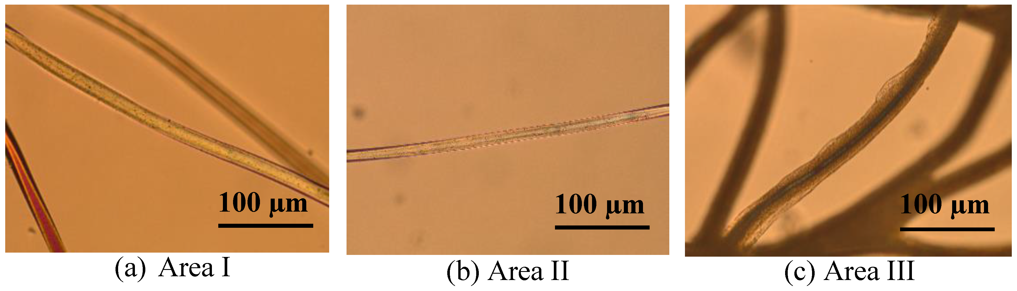 Polymers 10 00207 g002 550