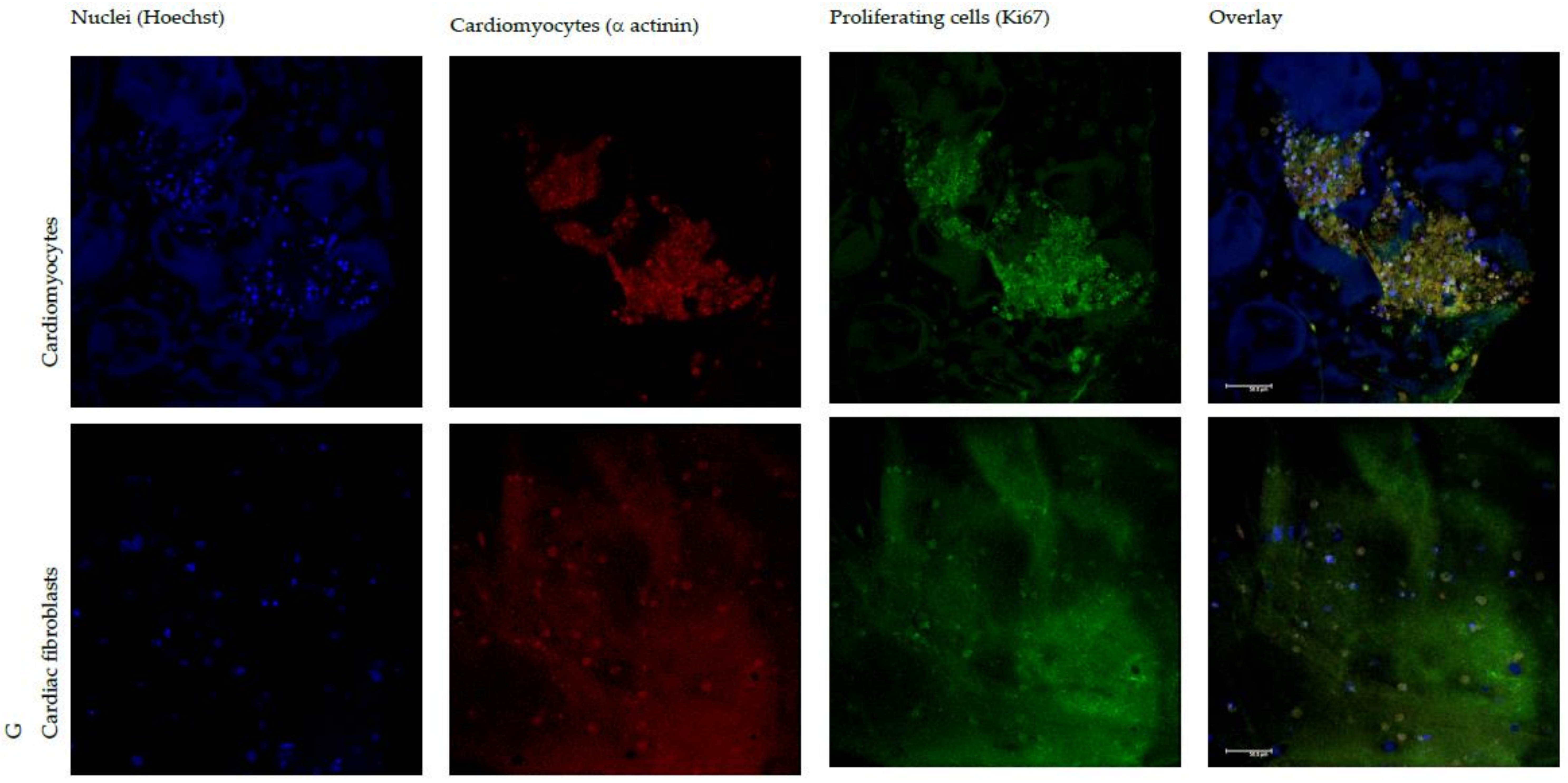 Polymers 10 00208 g007a Polymers 10 00208 g007a