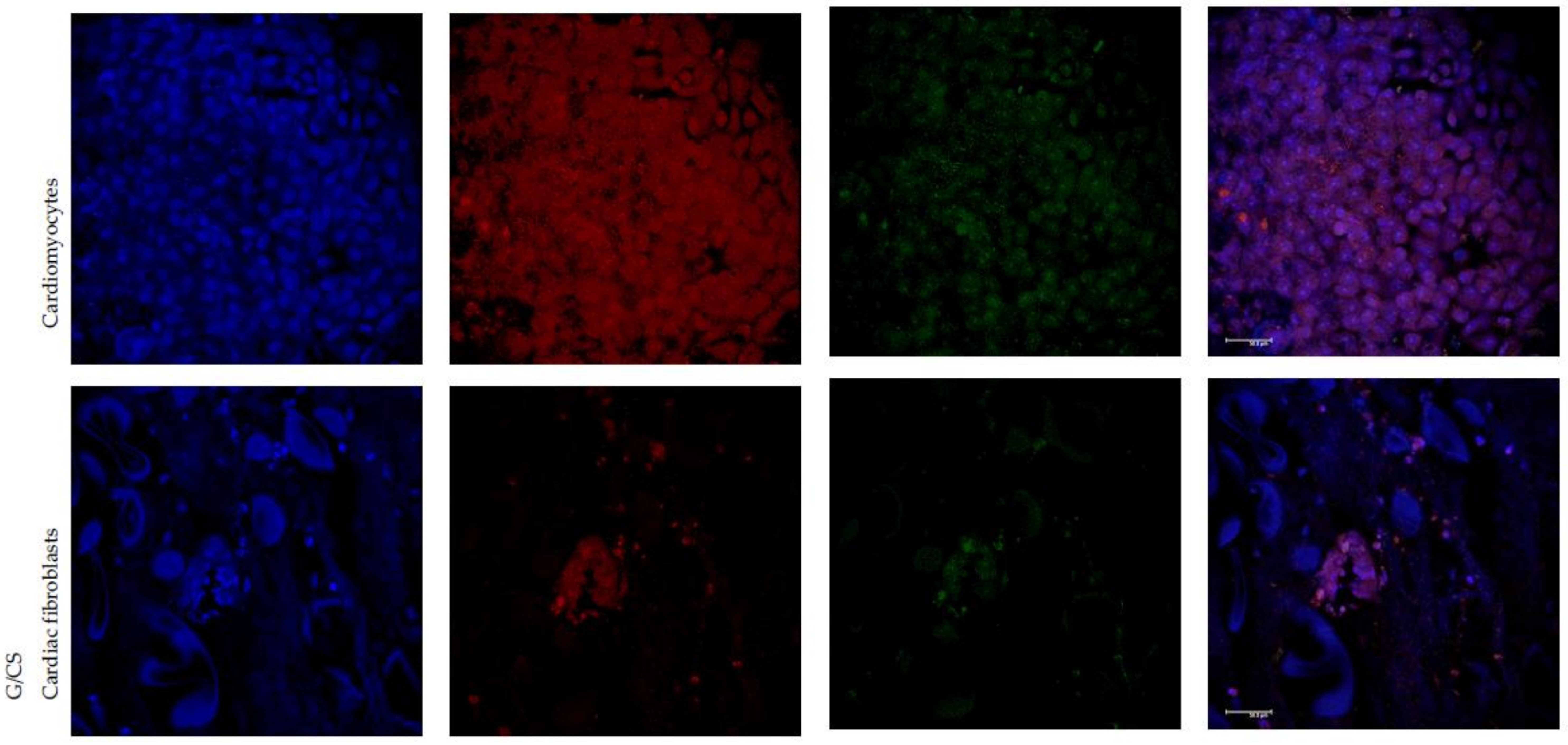 Polymers 10 00208 g007b Polymers 10 00208 g007b